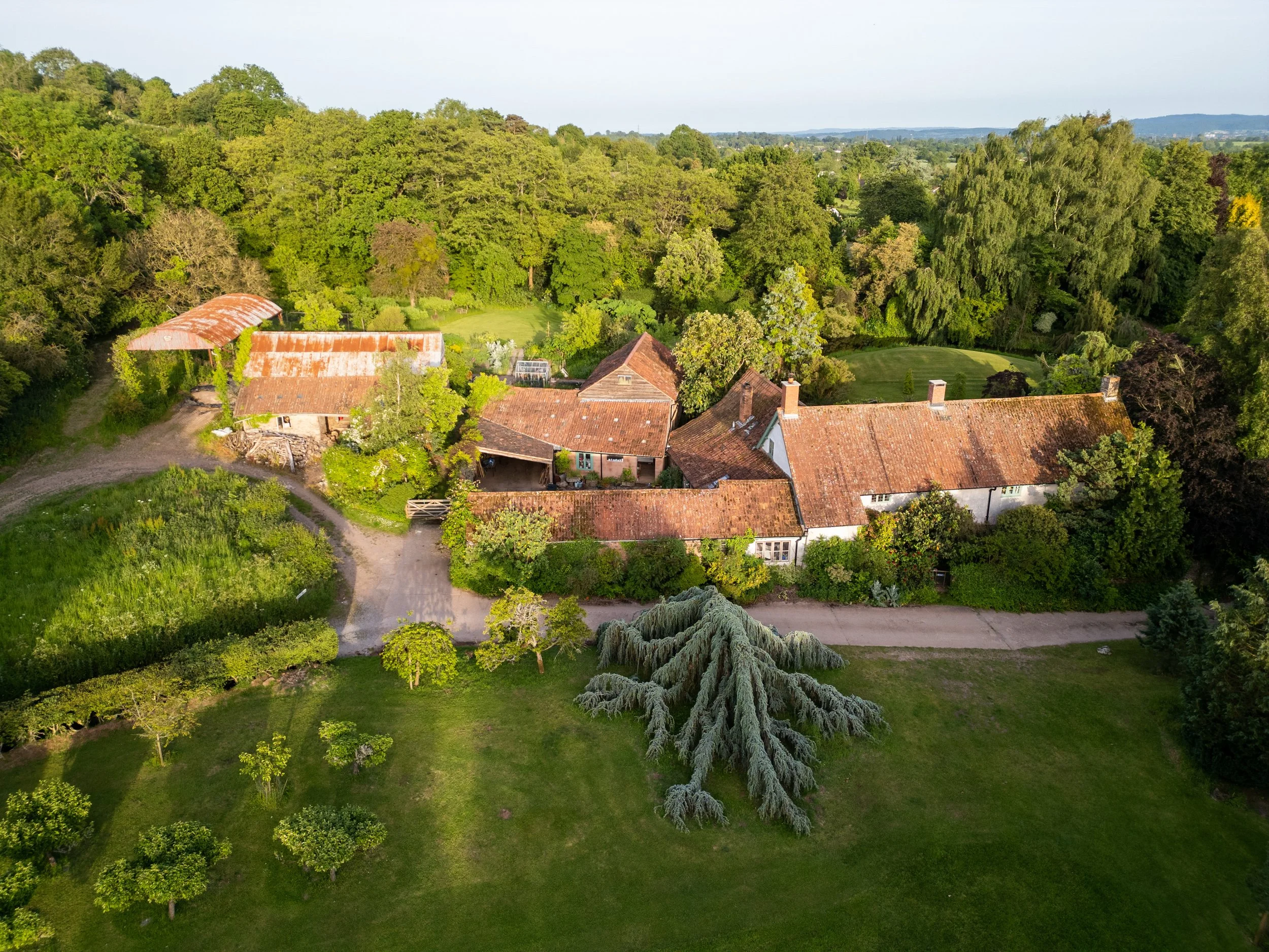 3301DJI_0882.jpg