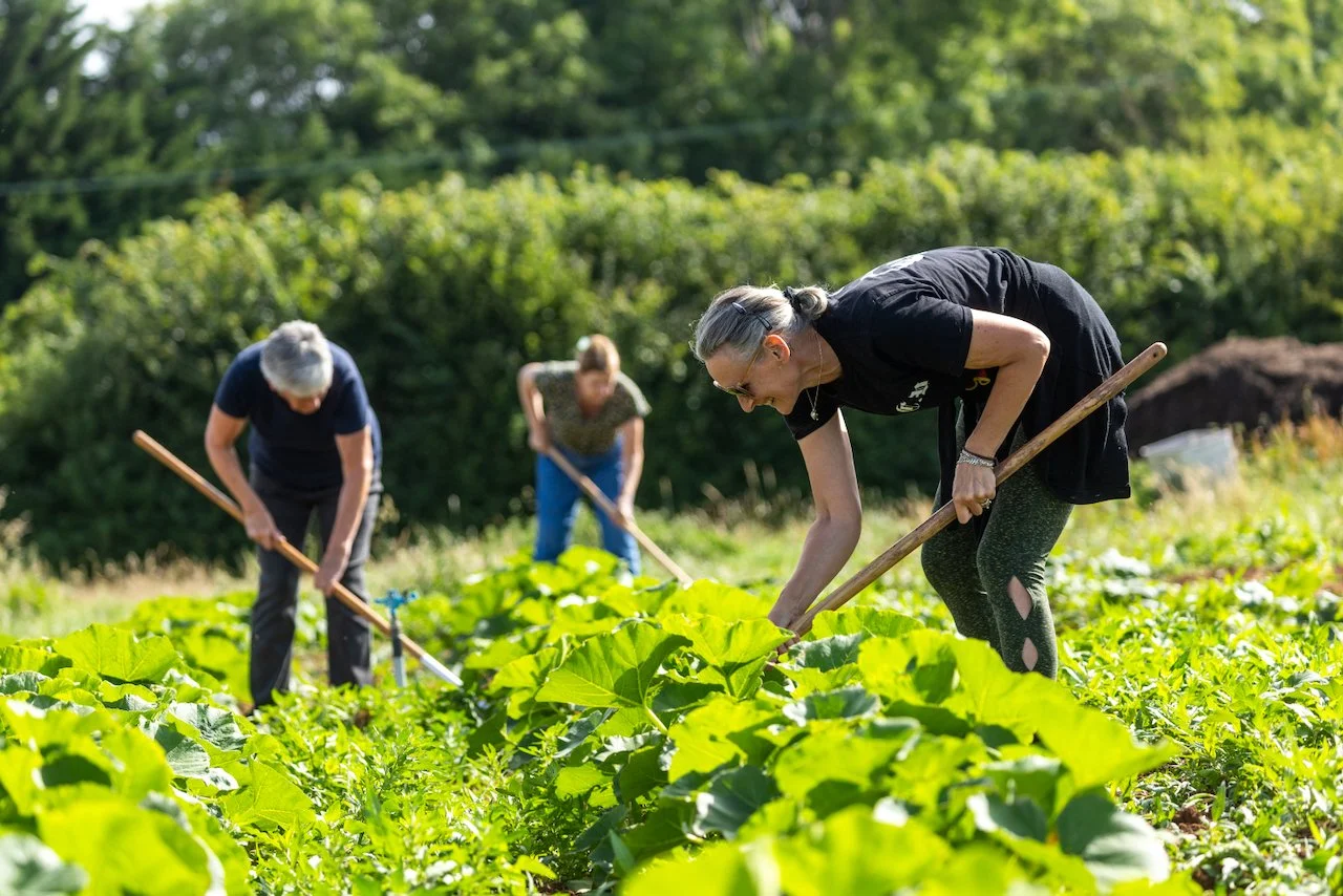 0N2A5292.jpeg