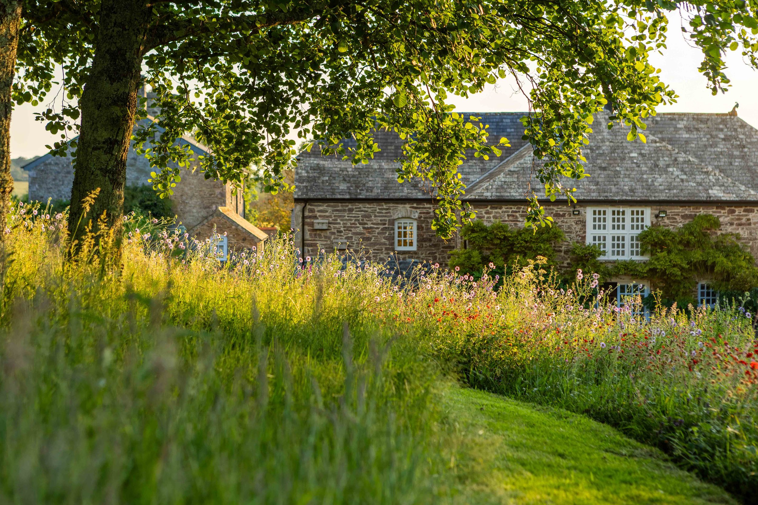 Fern & Primrose Horticulture