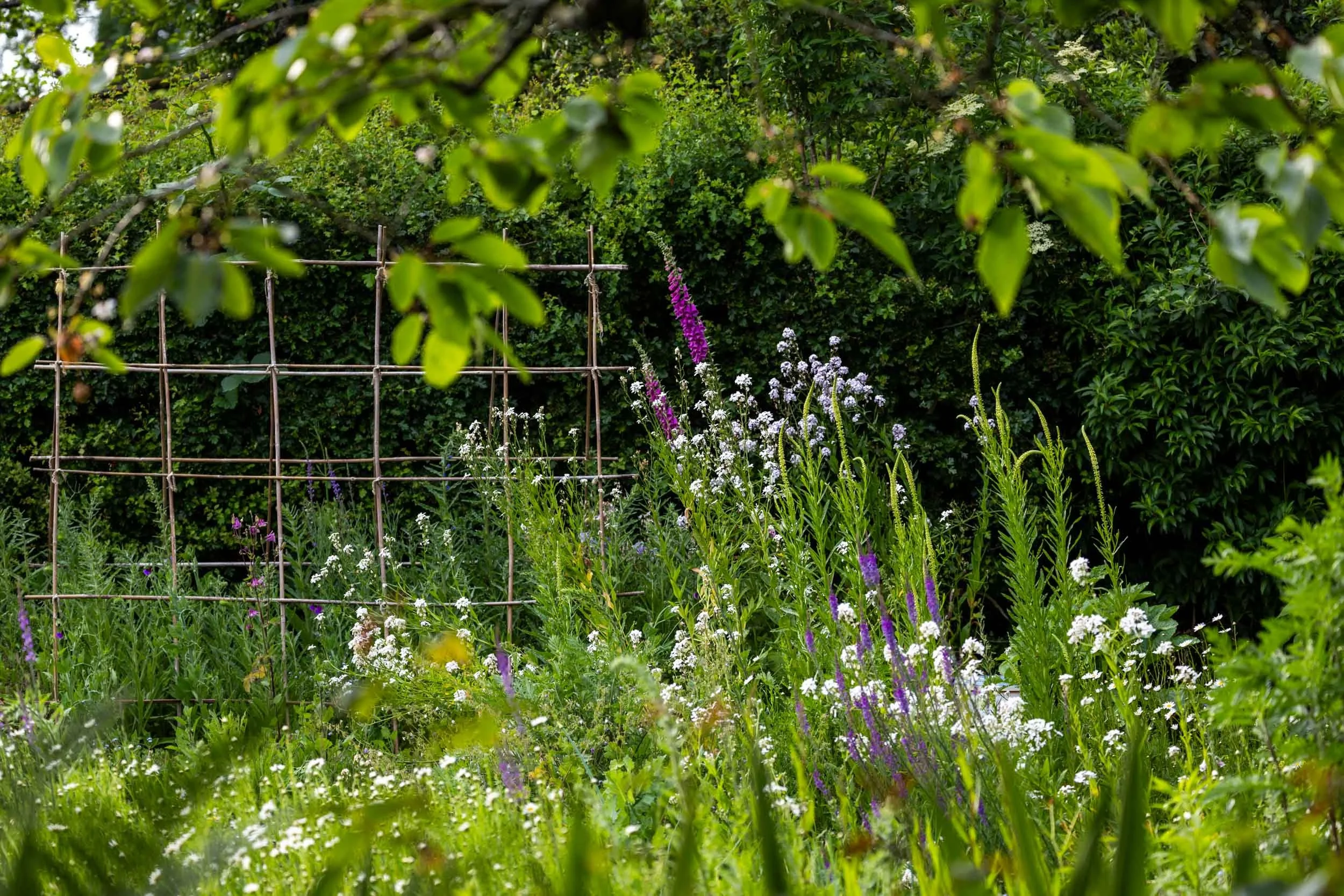 Ben Pritchard Gardens. Somerset