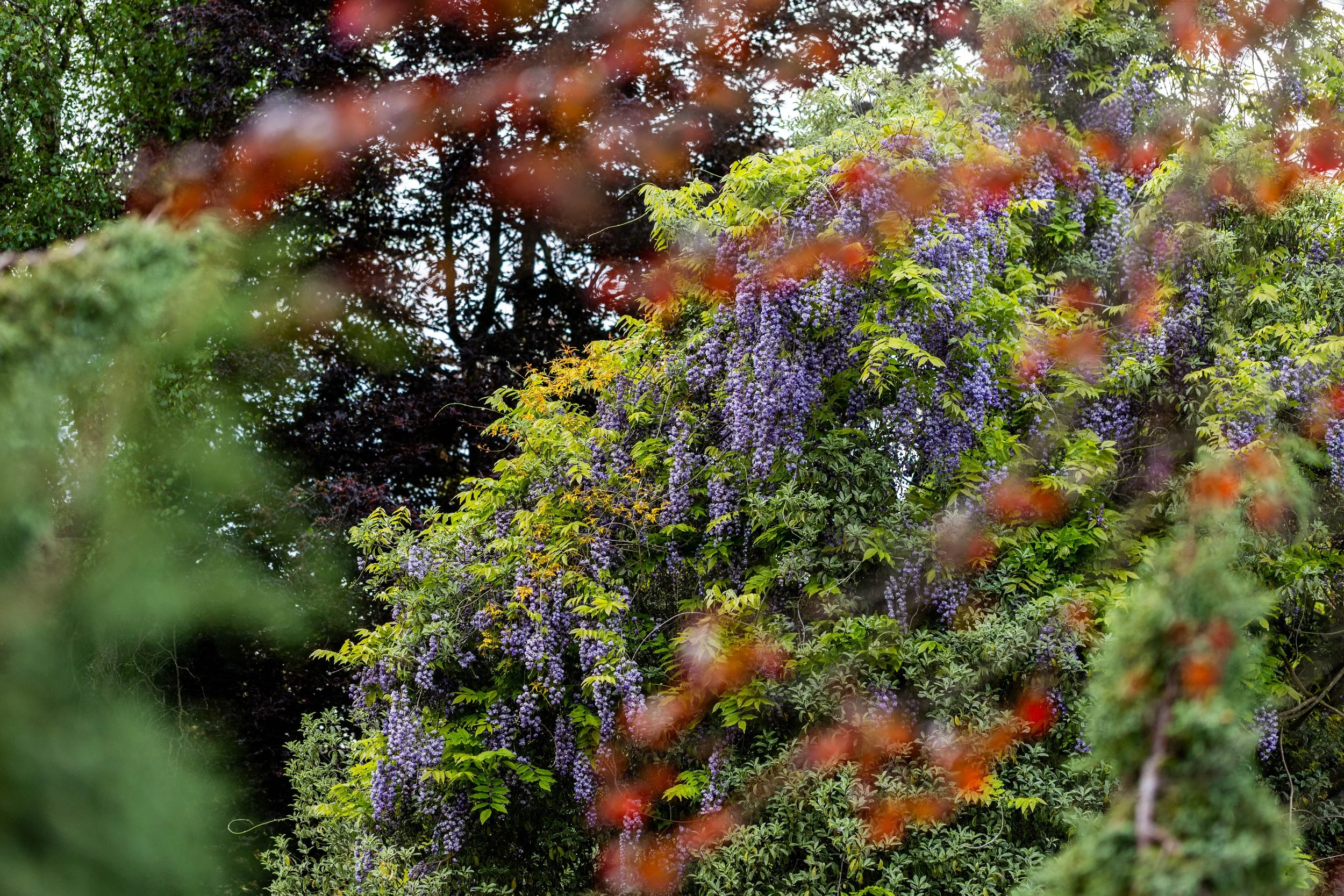 45_N2A4295.jpg