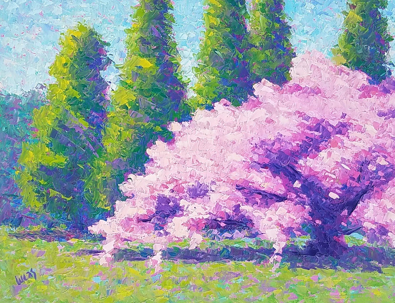 VineyardDogwood2.jpeg