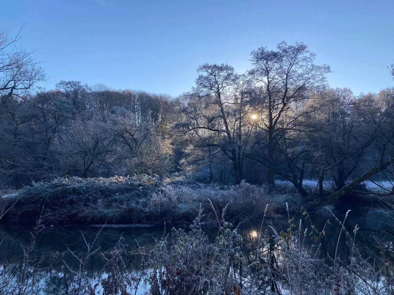 MBA Sunday Session: Mowley Valley