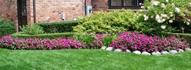 Maintenance Free Landscaping