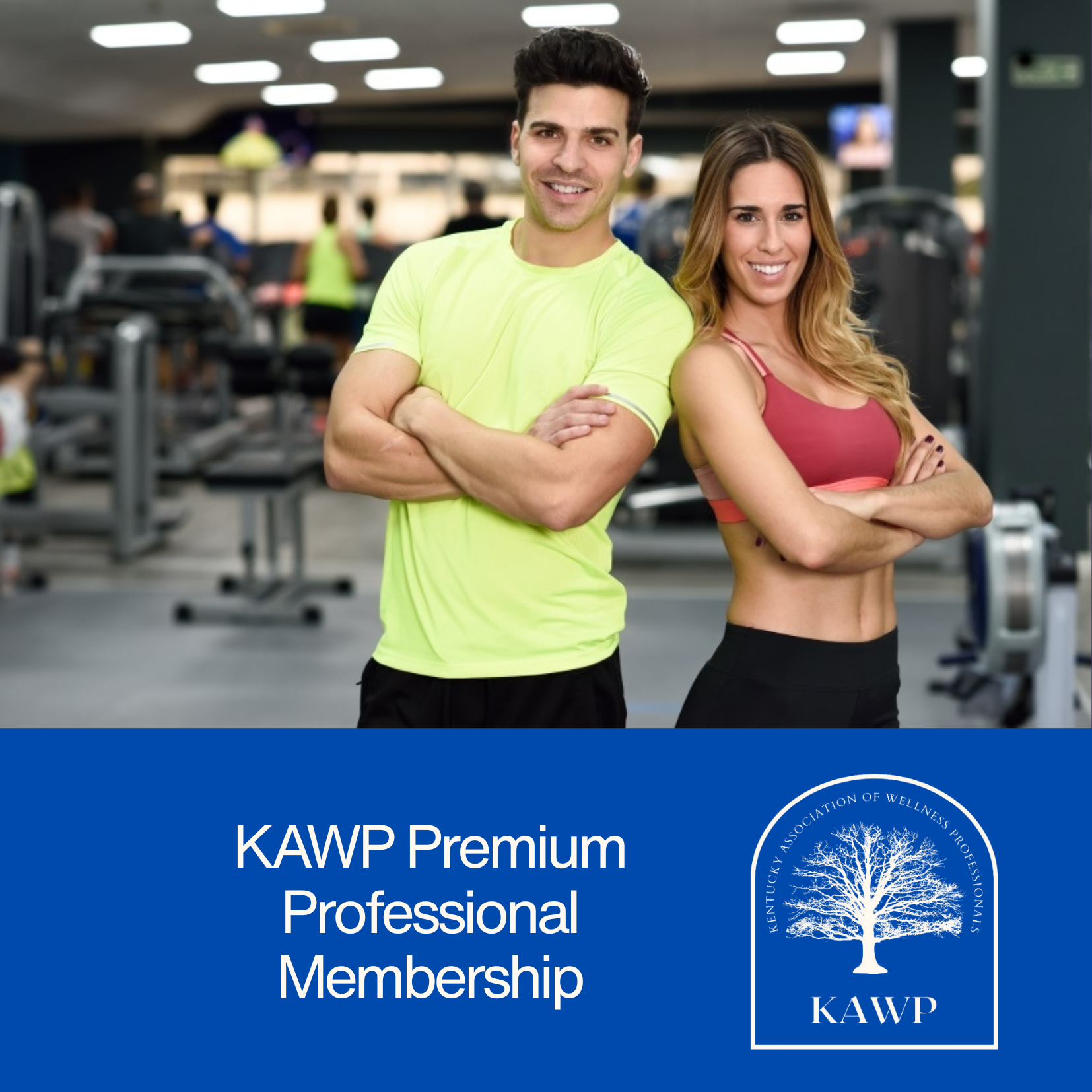 Premium Professional Membership