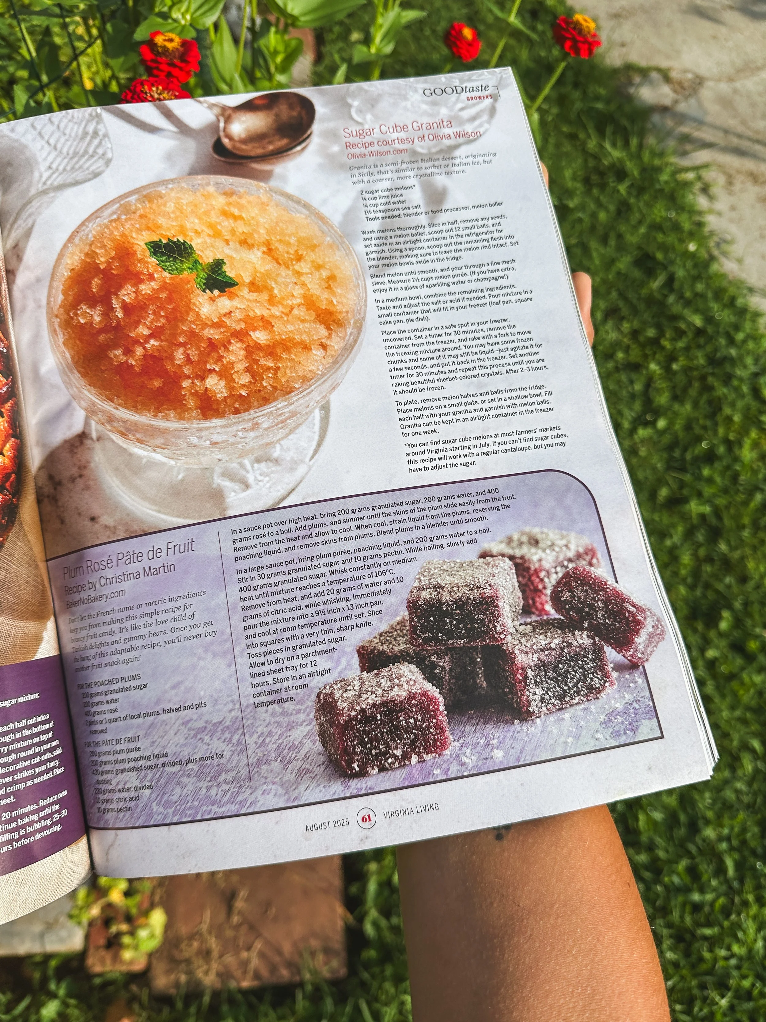 Virginia Living bakernobakery pate de fruit recipe