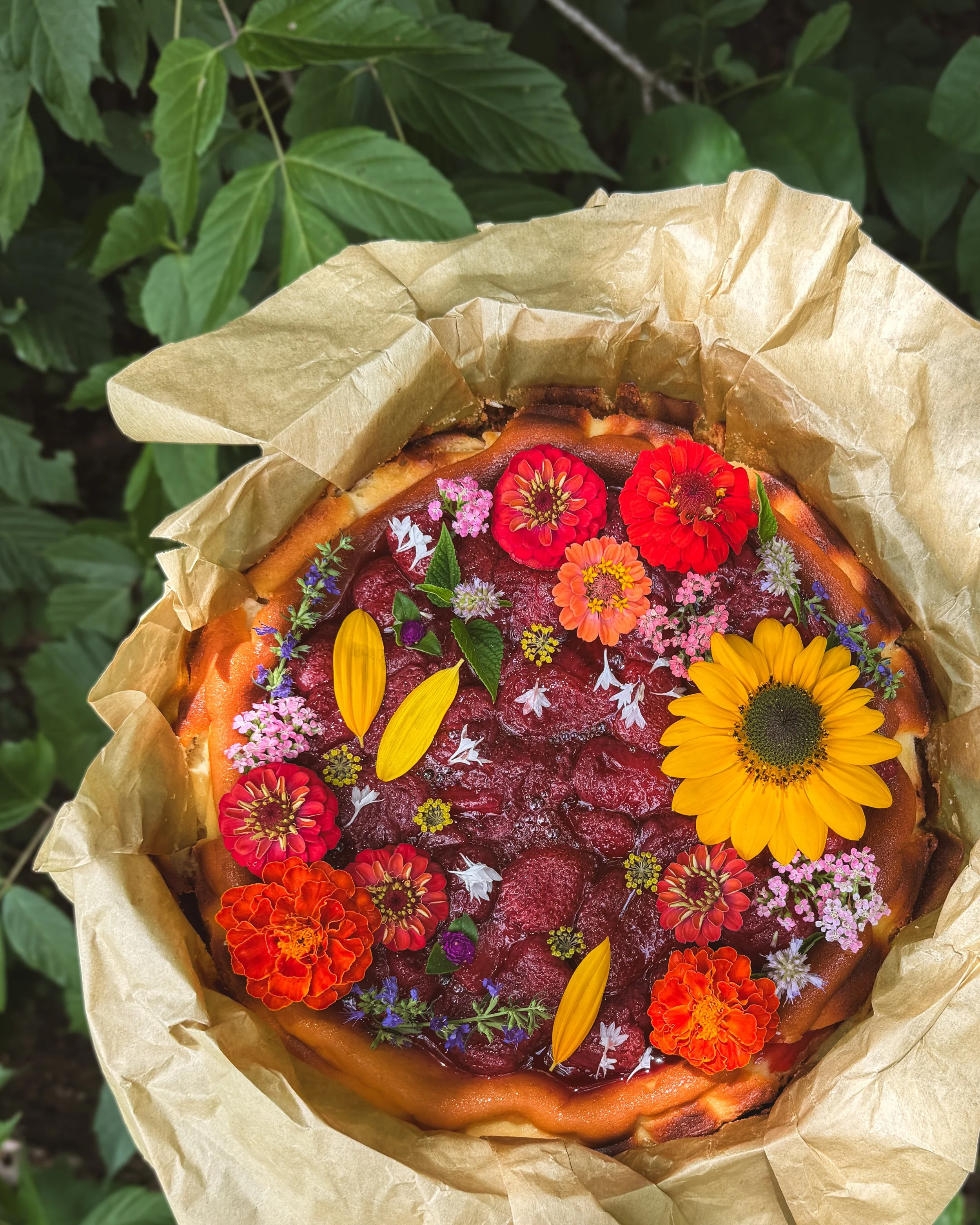 Florosa basque cheesecale with jam and flowers