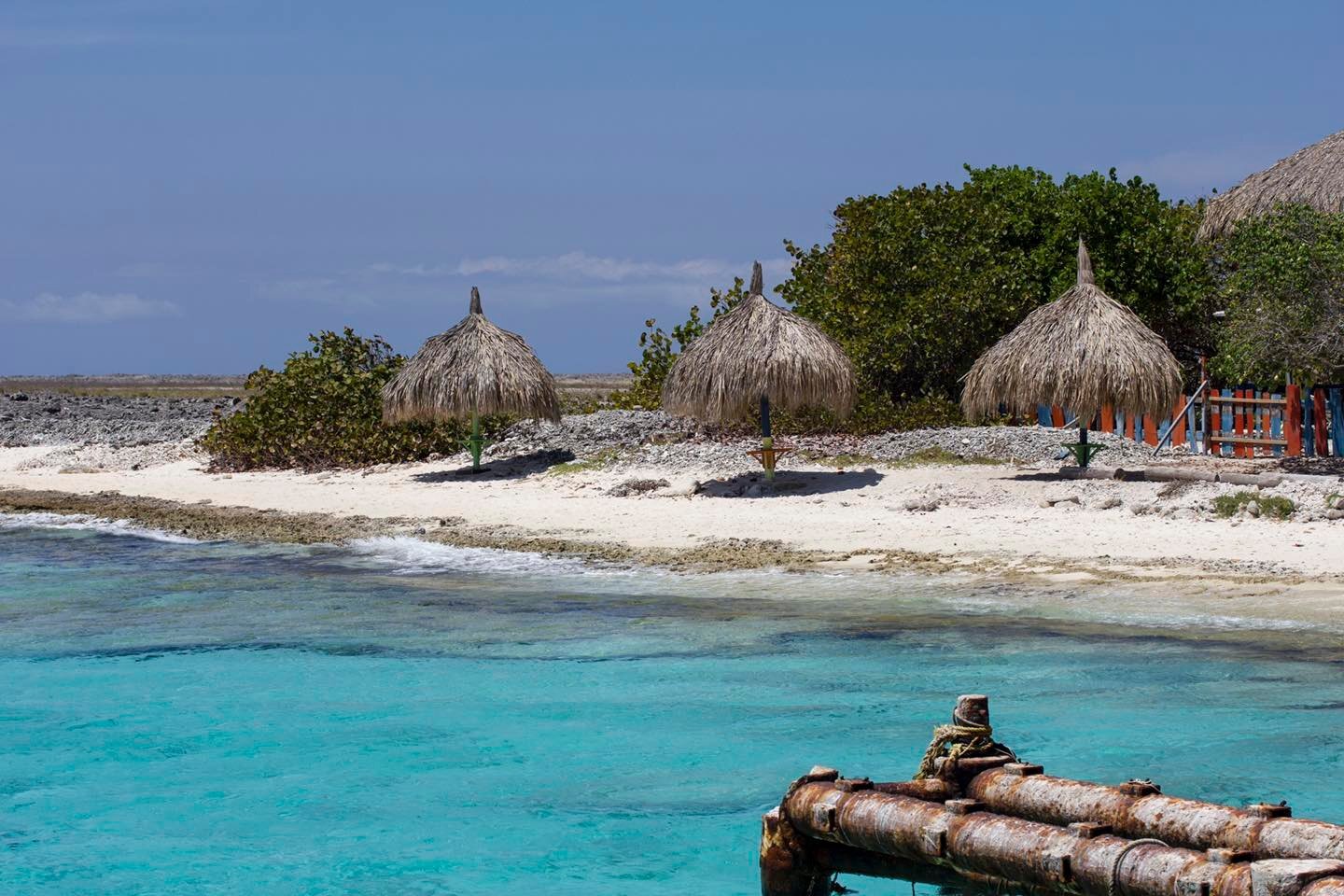 Everyone knows Klein Cura&ccedil;ao is a beautiful and pristine destination 🏝 but did you know it&rsquo;s also a Ramsar site?

A Ramsar site is a wetland site designated to be of international importance by UNESCO 🌿 Klein Cura&ccedil;ao was given t