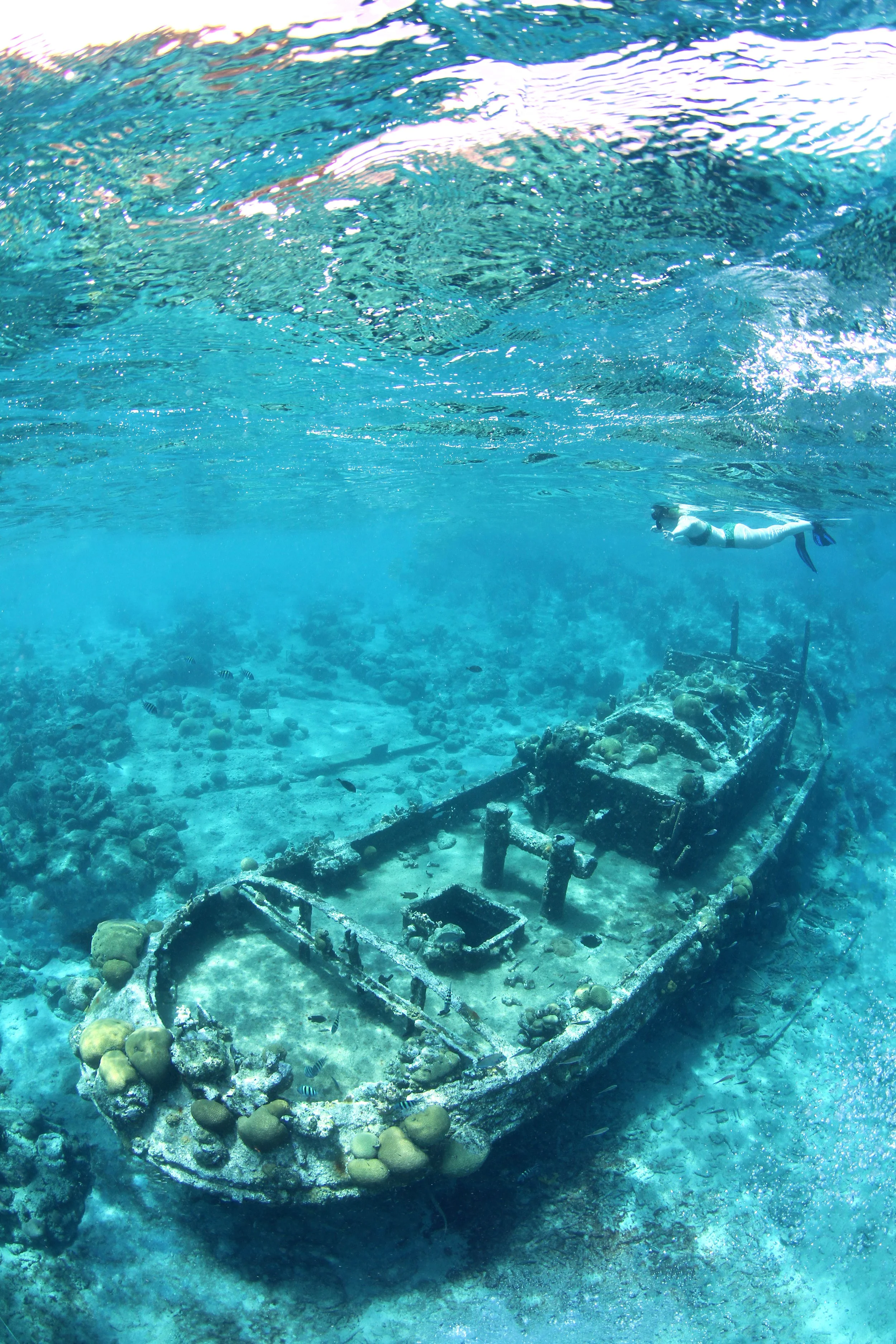 Tugboat IMG_1705.JPG