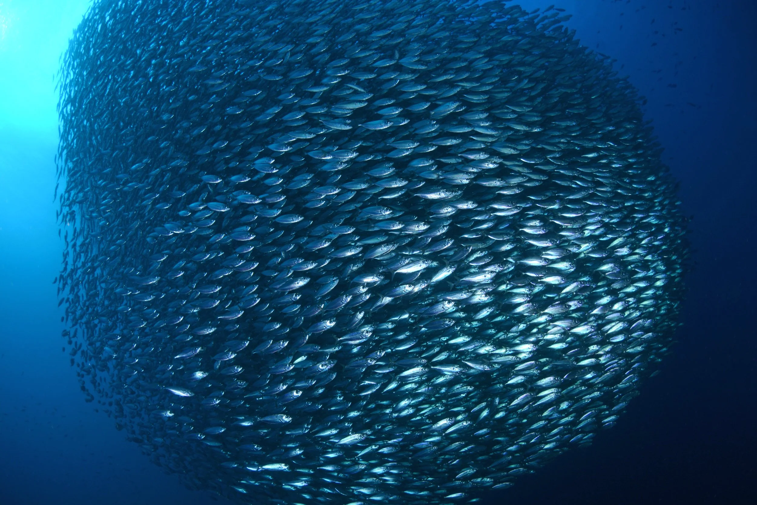 Osvaldo's dropoff DSC_4024.JPG