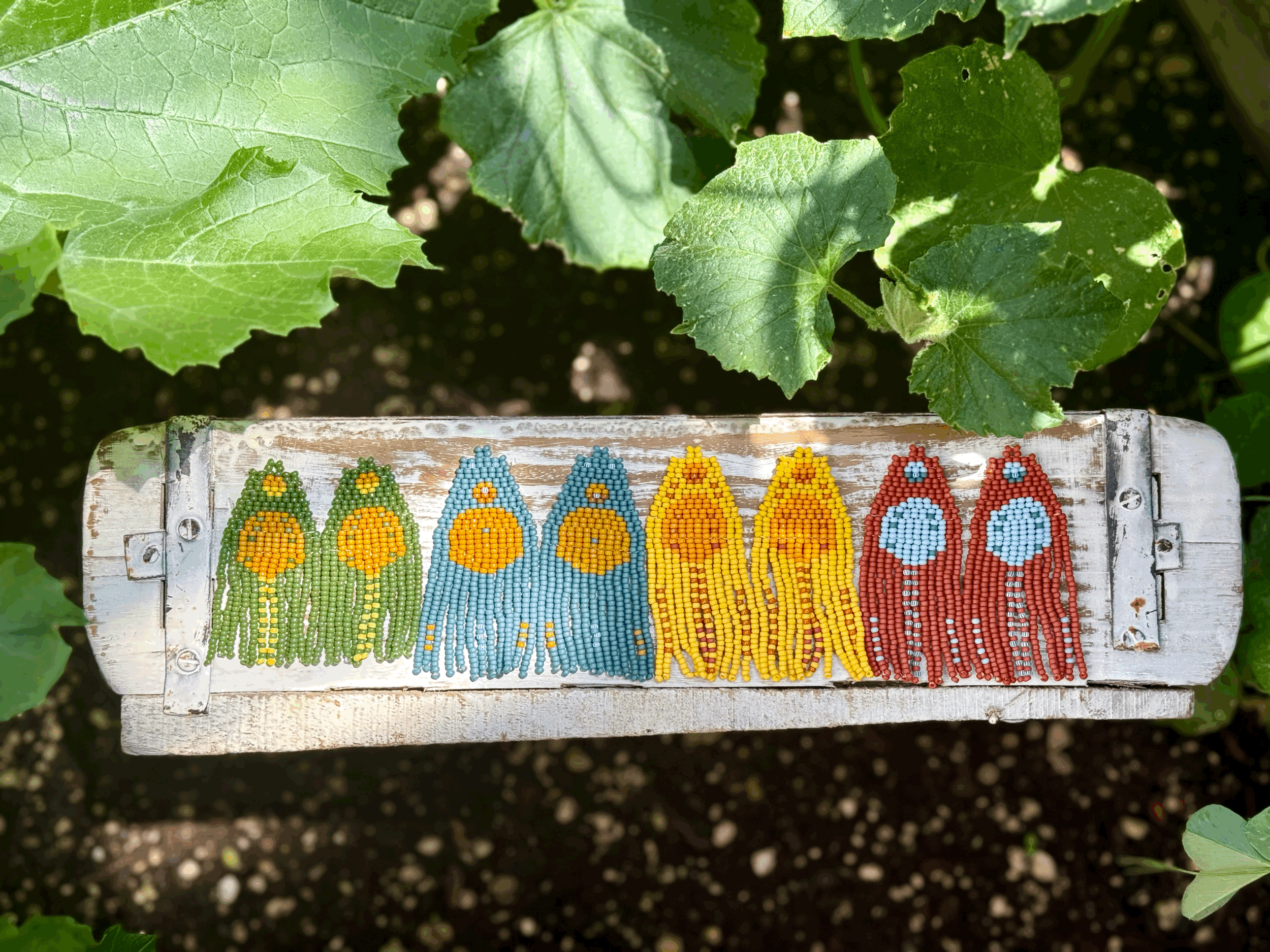 Curious Creatures Collab~Limited Edition Collection
