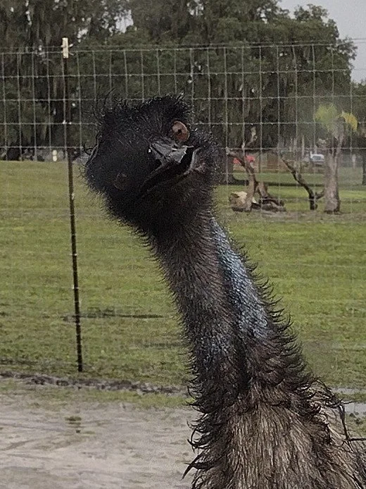 IMG_20240115_150511942_HDR Wesley Bryant.JPG