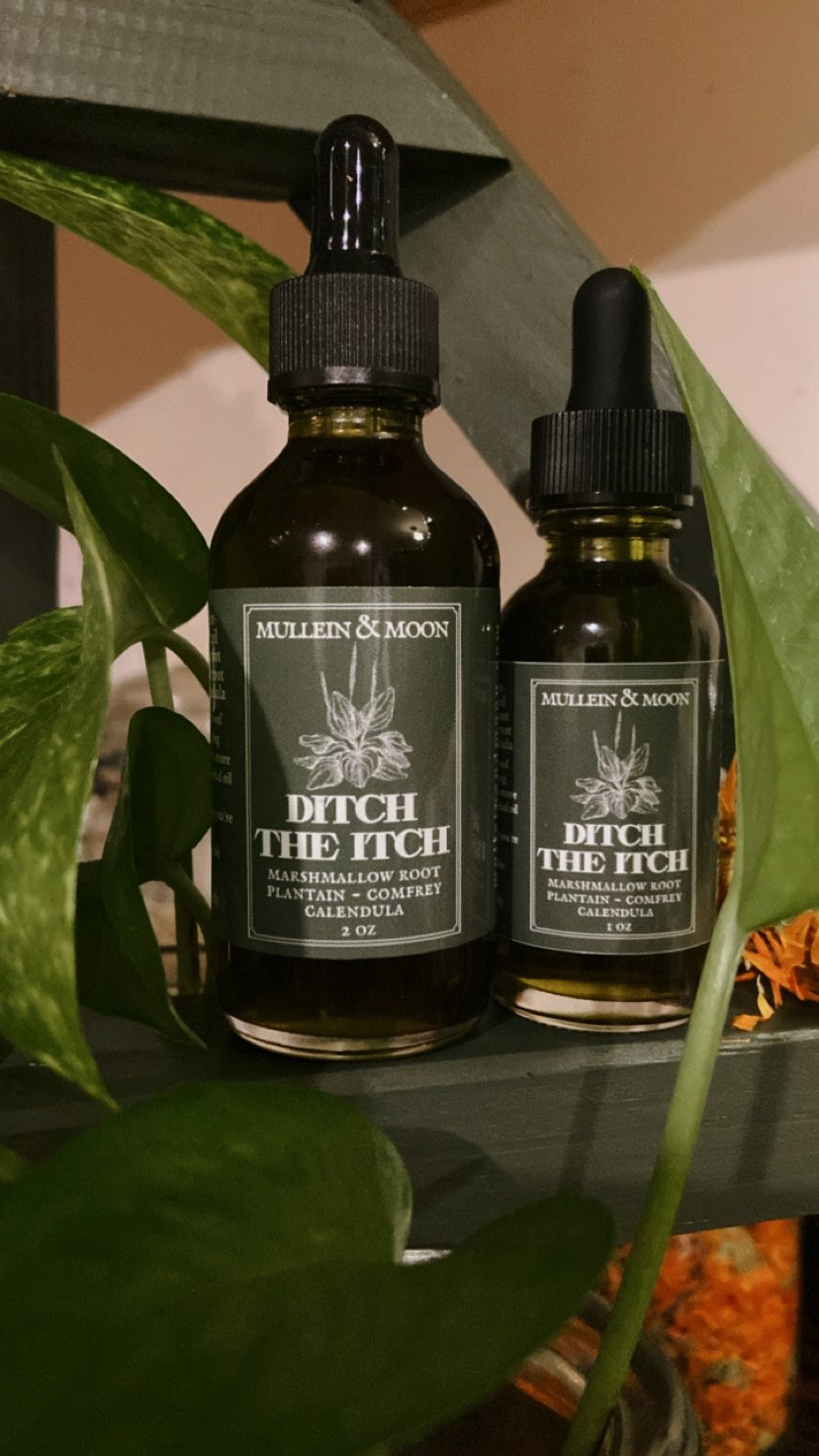Herbal oil salve 'Ditch the Itch' with marshmallow root, calendula, comfrey, and plantain for soothing eczema, bug bites, and irritated skin.