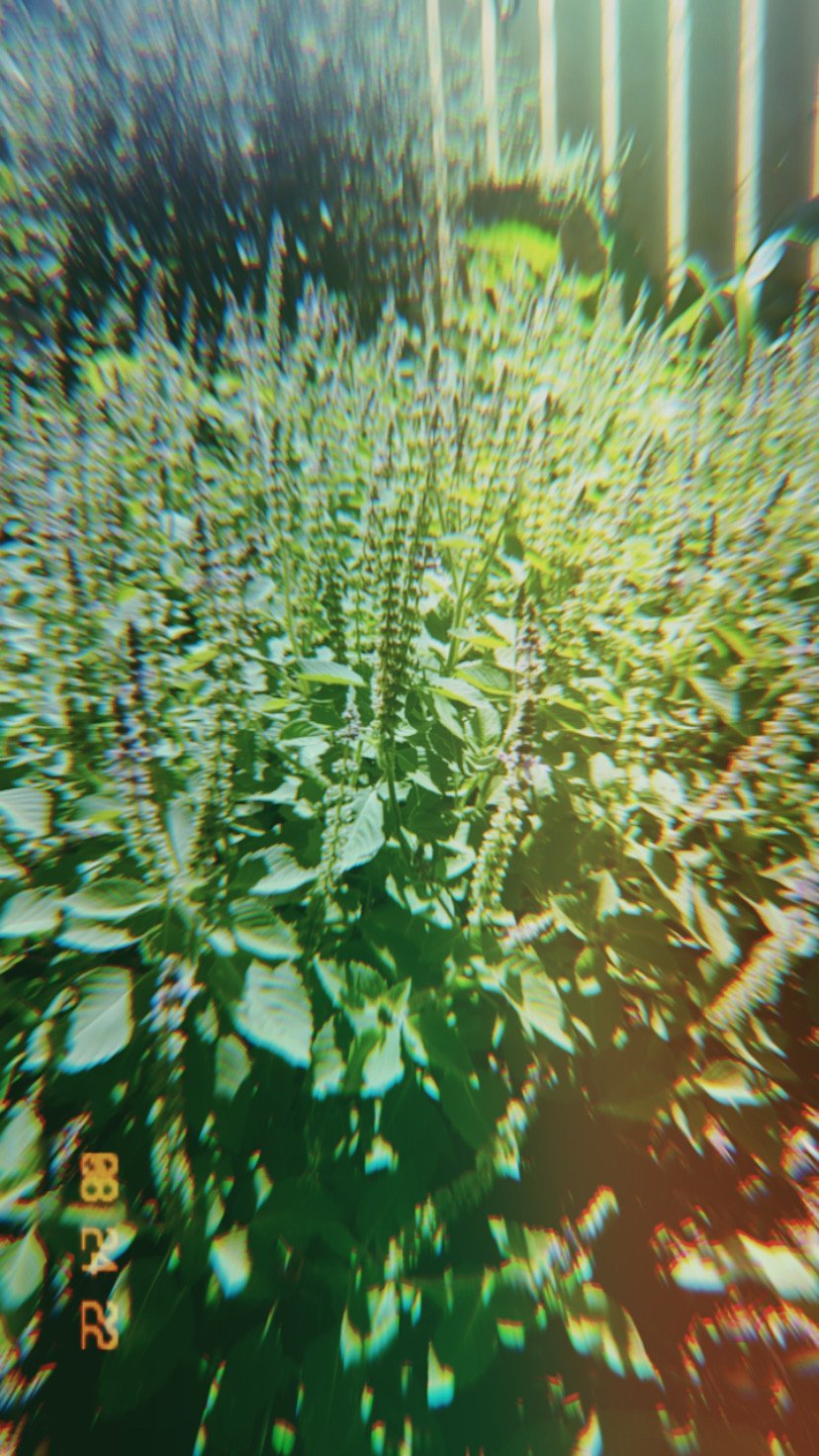 AFFF907E-363E-4C53-9E5D-3DF7055F53CB.jpeg