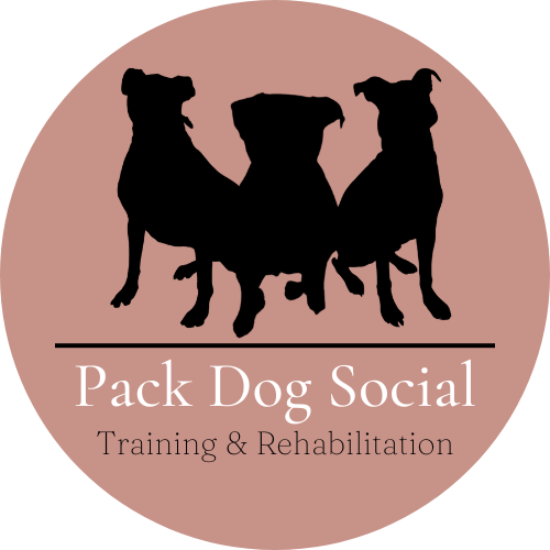 Pack Dog Social