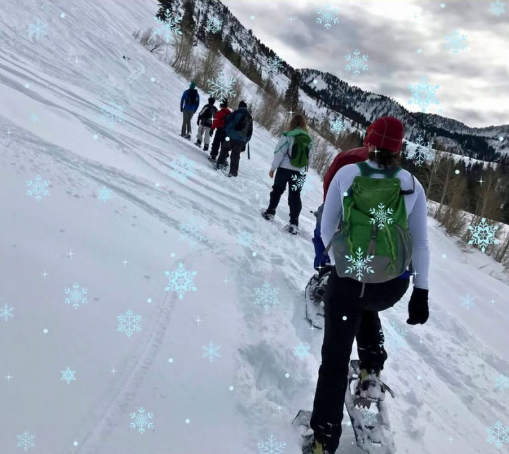 Moonlight Snowshoe Tour