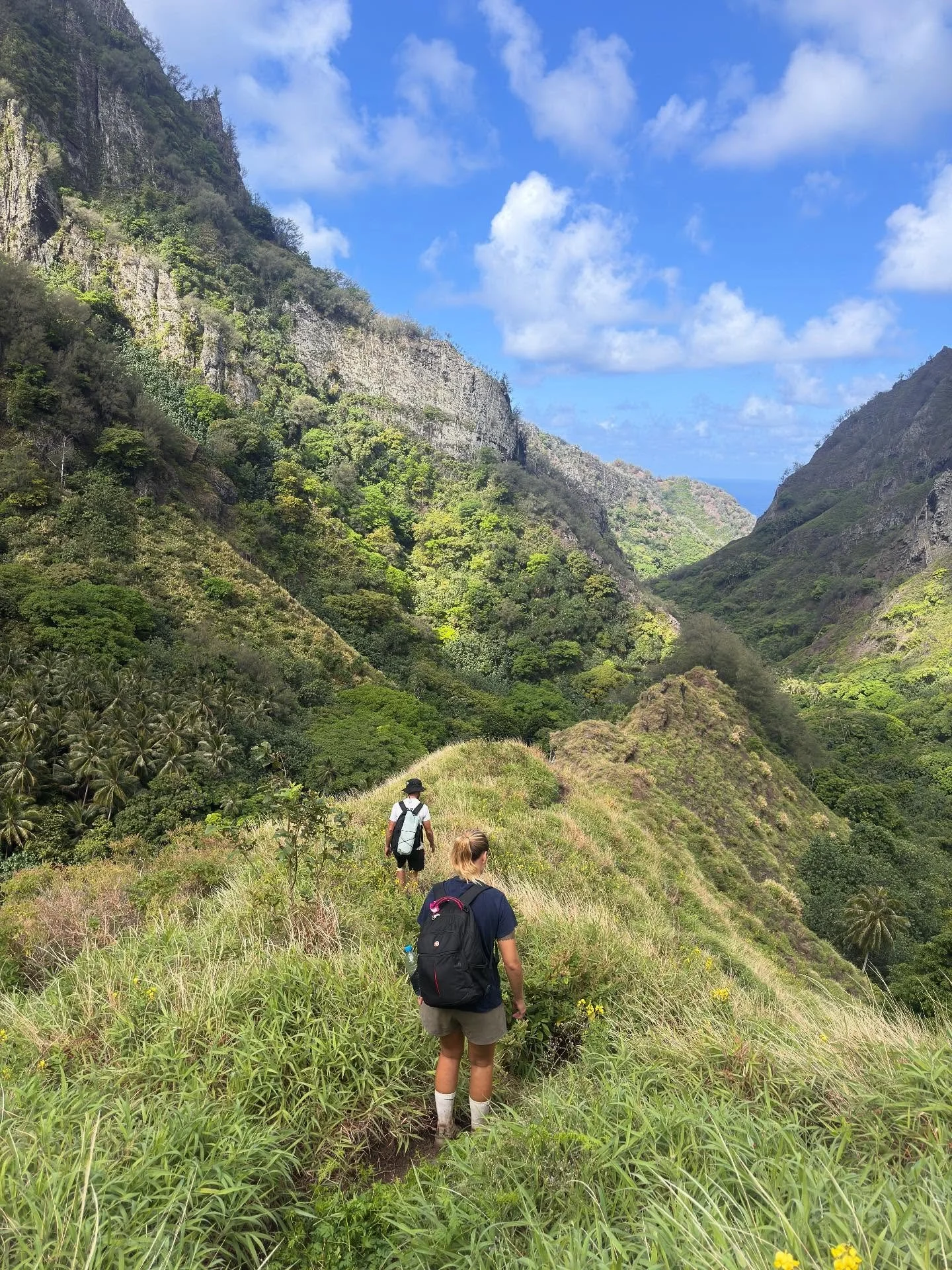 II FATU HIVA HIKE II

Fatu Hiva har budt p&aring; mange ting - blandt andet en hike p&aring; tv&aelig;rs af &oslash;en til en lille bugt, hvor Thor Heyerdahl har boet. Det er en lidt vild hike, da det er meget offroad og med overnatning - s&aring; vi
