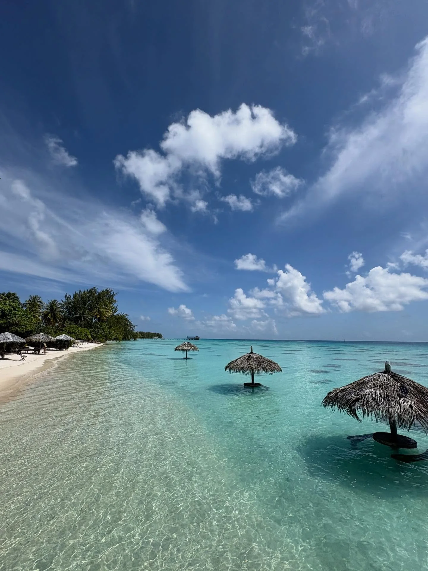 II FAKARAVA NORD II

De sidste 10 dages tid har vi brugt ved Fakarava - den f&oslash;rste halvdel ved nordpasset 🧭 Her har den st&aring;et p&aring; kolde &oslash;l, perlefarm, dykning, cykeltur &oslash;en rundt, opfyldning af vand, proviant og gas -