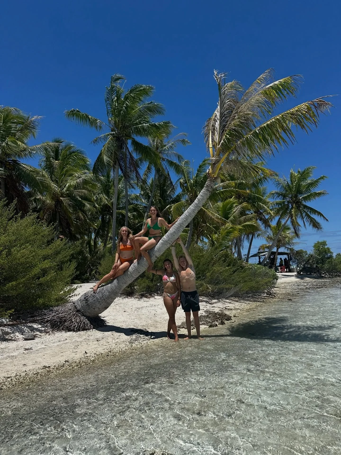 II RANGIROA II

For en uges tid siden l&aring; vi ved atollen Rangiroa. Endnu en paradis&oslash; med bl&aring; laguner, palmetr&aelig;er, solskin i lange baner og udsigt til delfiner i passet 🐬🌴🌞 (delfinvideorne m&aring; i vente med til n&aelig;st