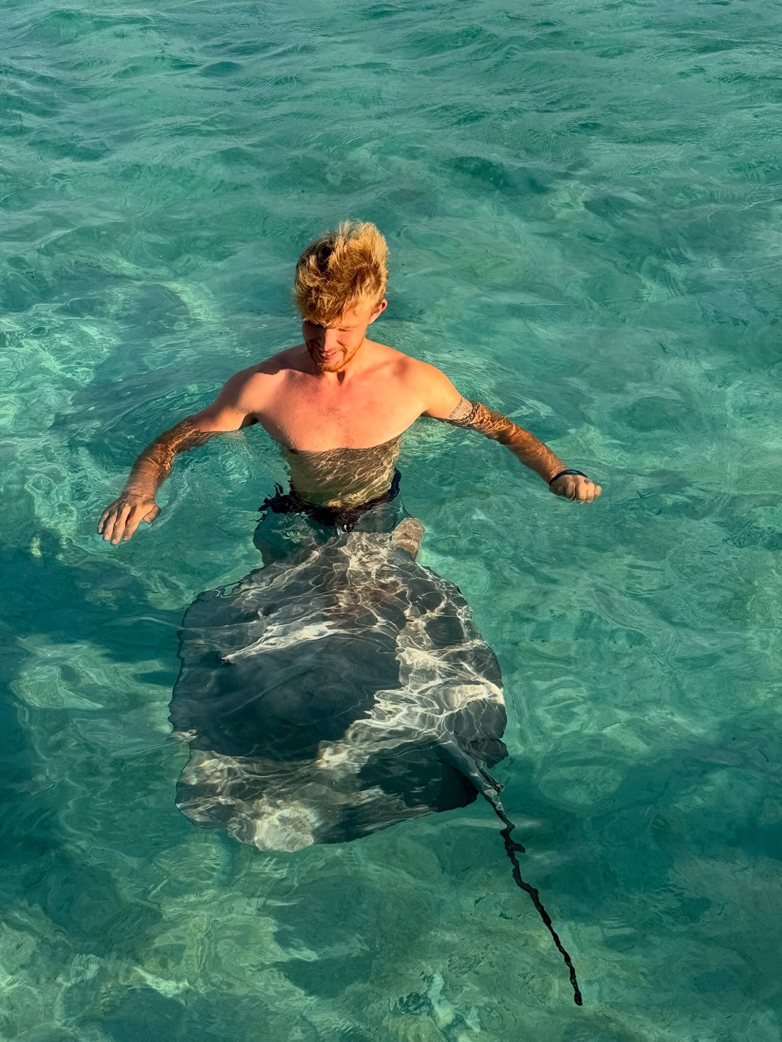 || STINGRAY CITY ||

Vi har haft en masse gode dage p&aring; Moorea med togt 10, og vi havde slet ikke travlt med at komme derfra igen! Gasterne er helt enige om at det m&aring; v&aelig;re deres yndlings&oslash; 🏝️

Og vi kan godt forst&aring; dem! 
