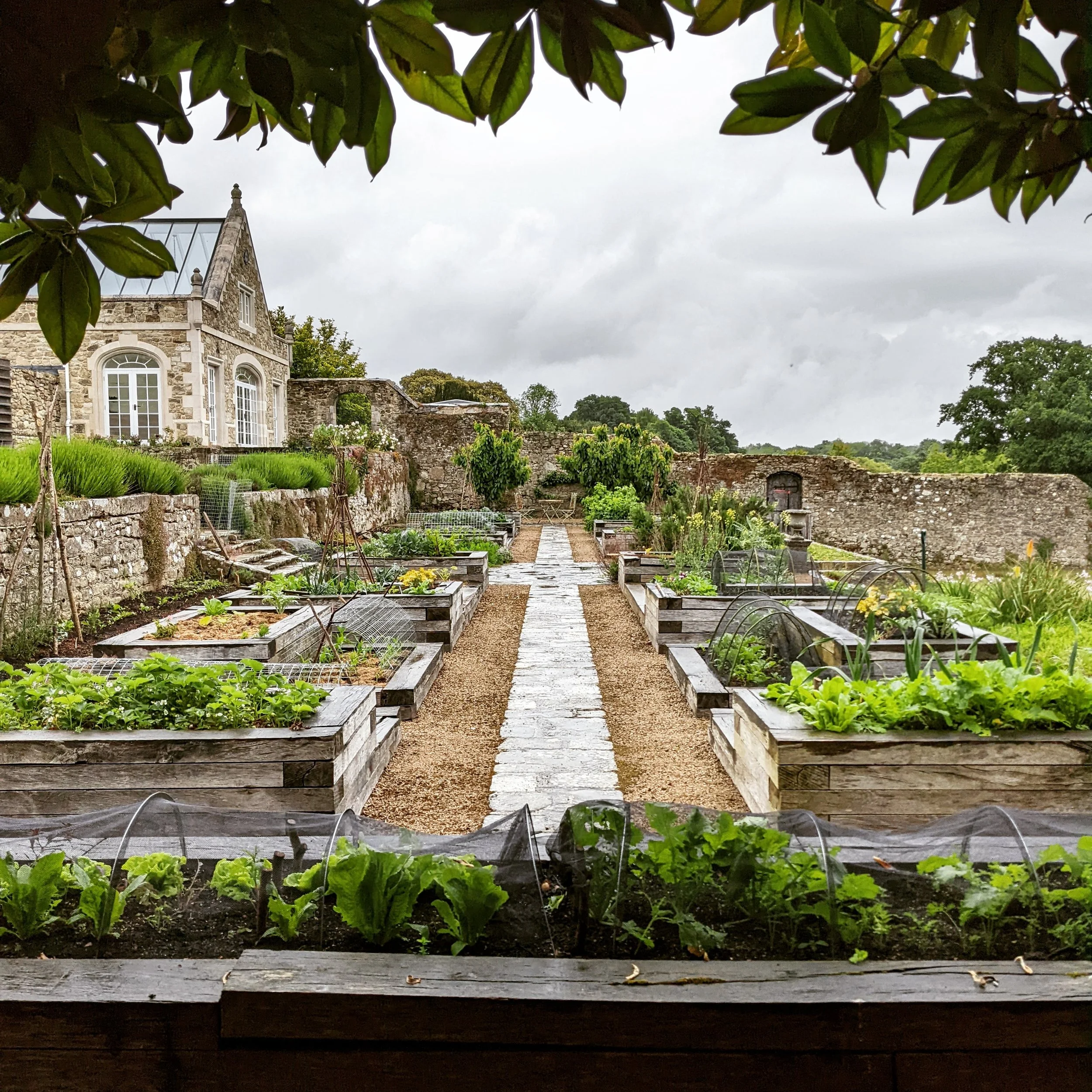 vegetable garden designs isle f wight