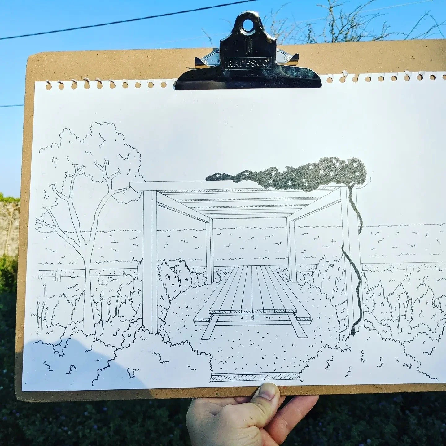 planning a garden redesign on the isle of wight
