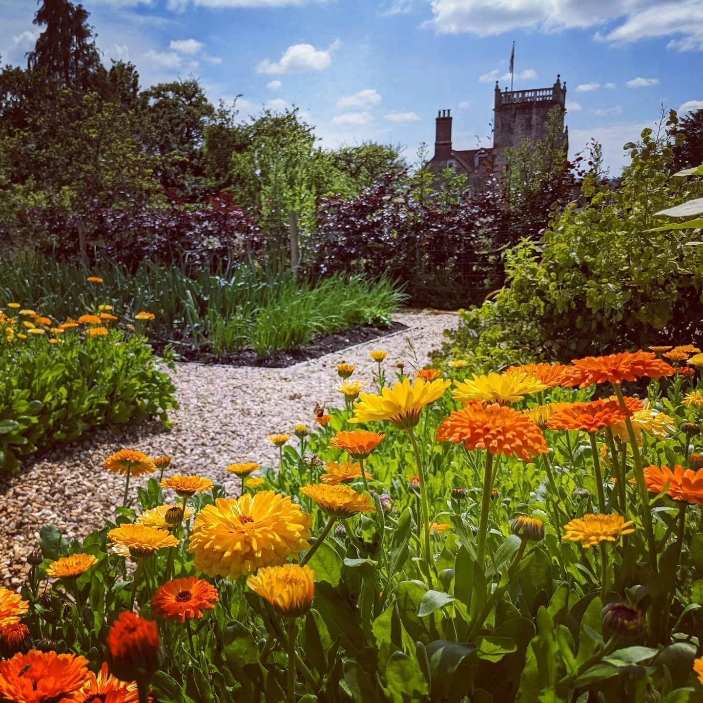 flower garden on the isle of wight with church tower in the background