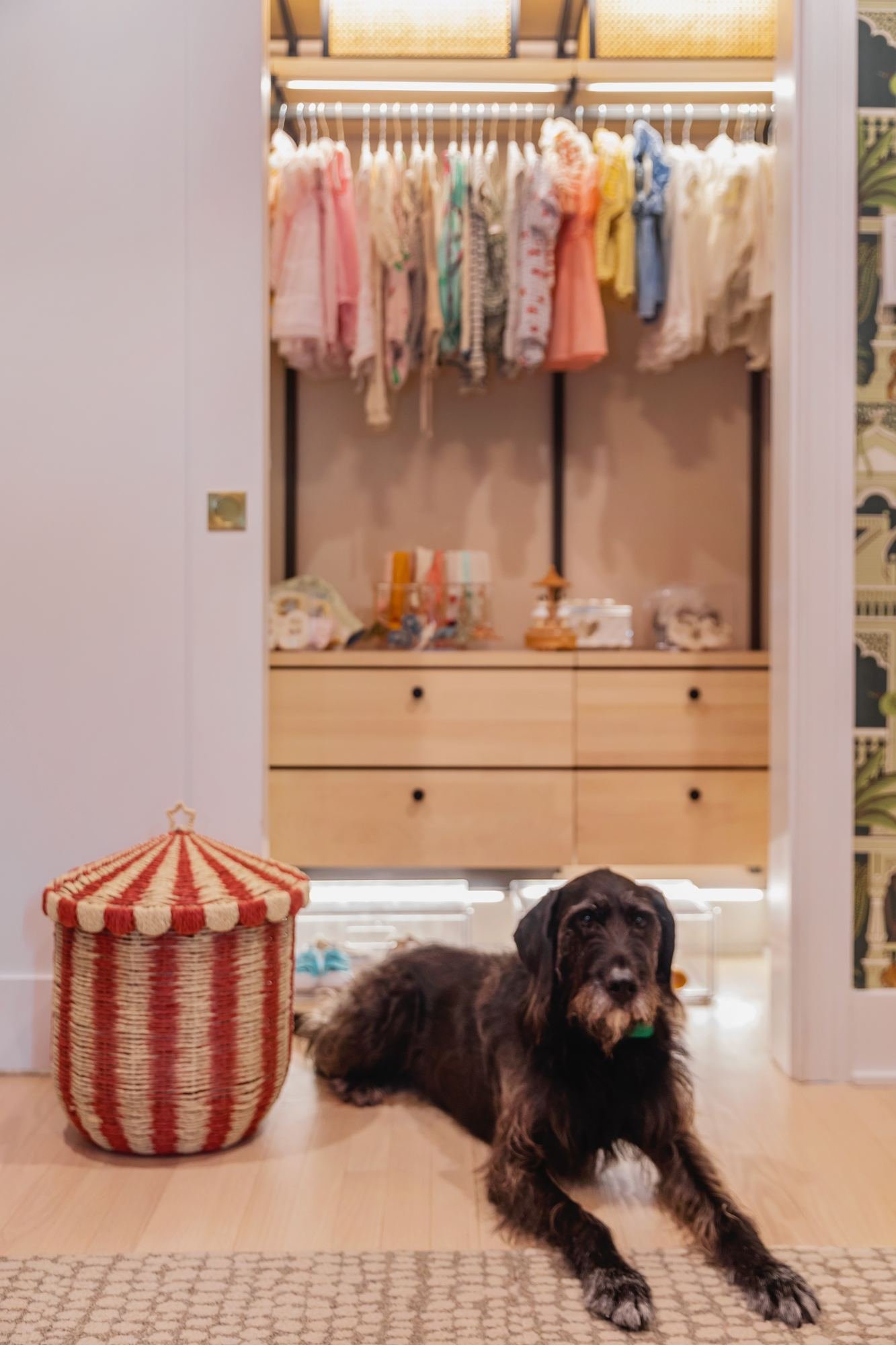 nursery-closet-family-dog-striped-basket.jpg