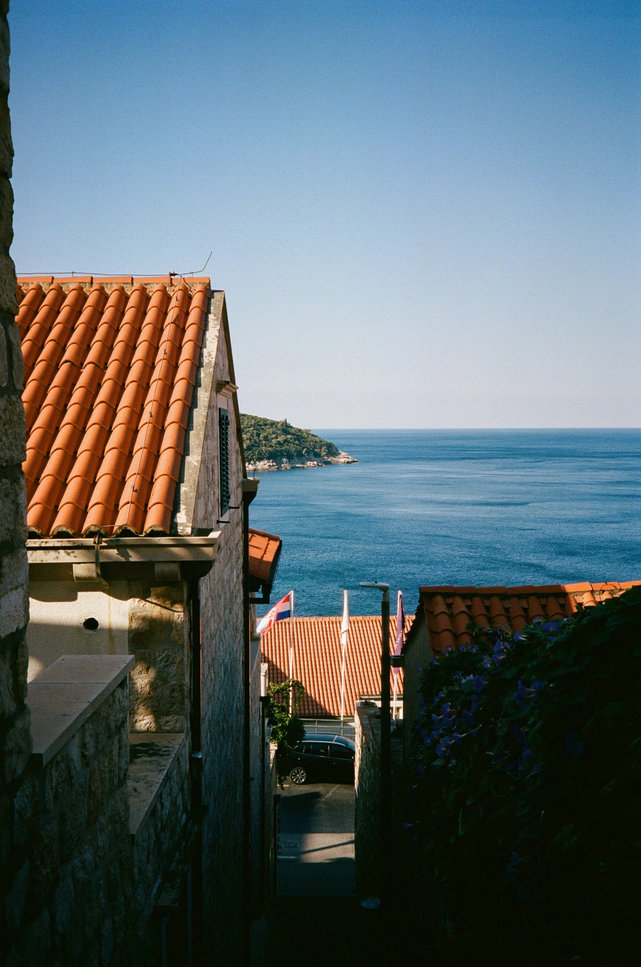 000019960036.JPG