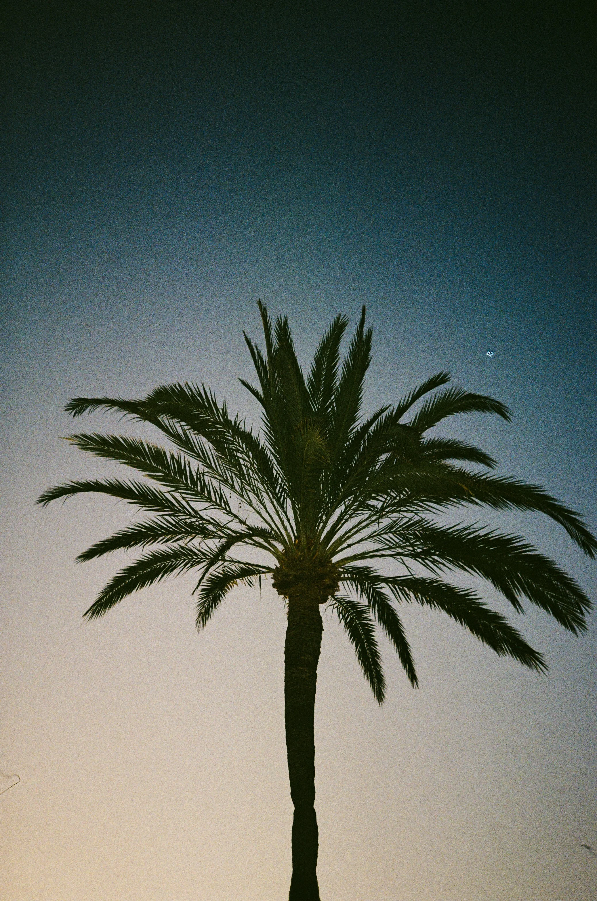 000093720032.JPG