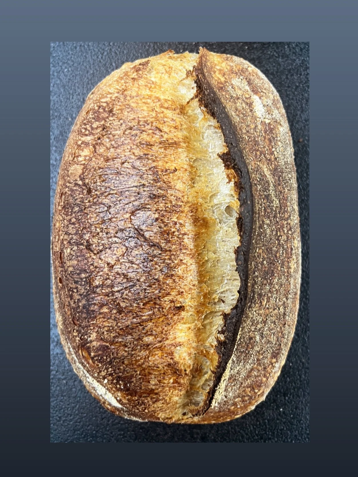 Saturday January 31st bread options:
Porch pickup order online/ see me at Elk Grove Market 

Cranberry pecan sourdough loaf 

Marbled chocolate cherry sourdough 

Porridge multigrain molasses sourdough loaf 

Salted lemon rosemary sourdough 

Traditi