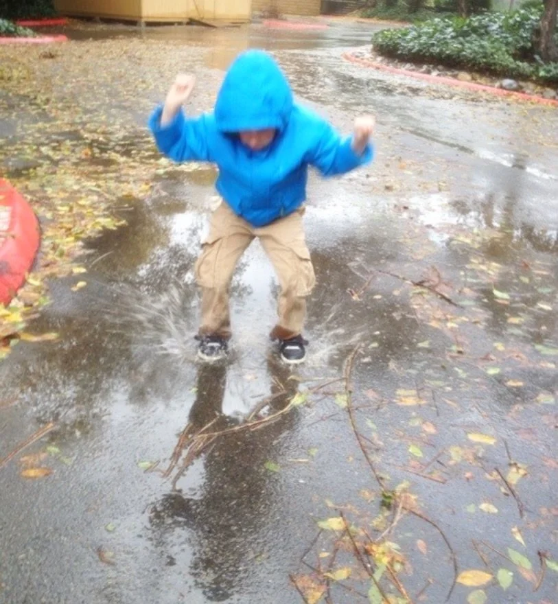 Normally today I would have mixed up my starter for this week&rsquo;s bake. Slipping this bake because of the wet weather. Hopefully next weekend will be better. Sorry for any inconvenience this may cause. 

#andybakesbread