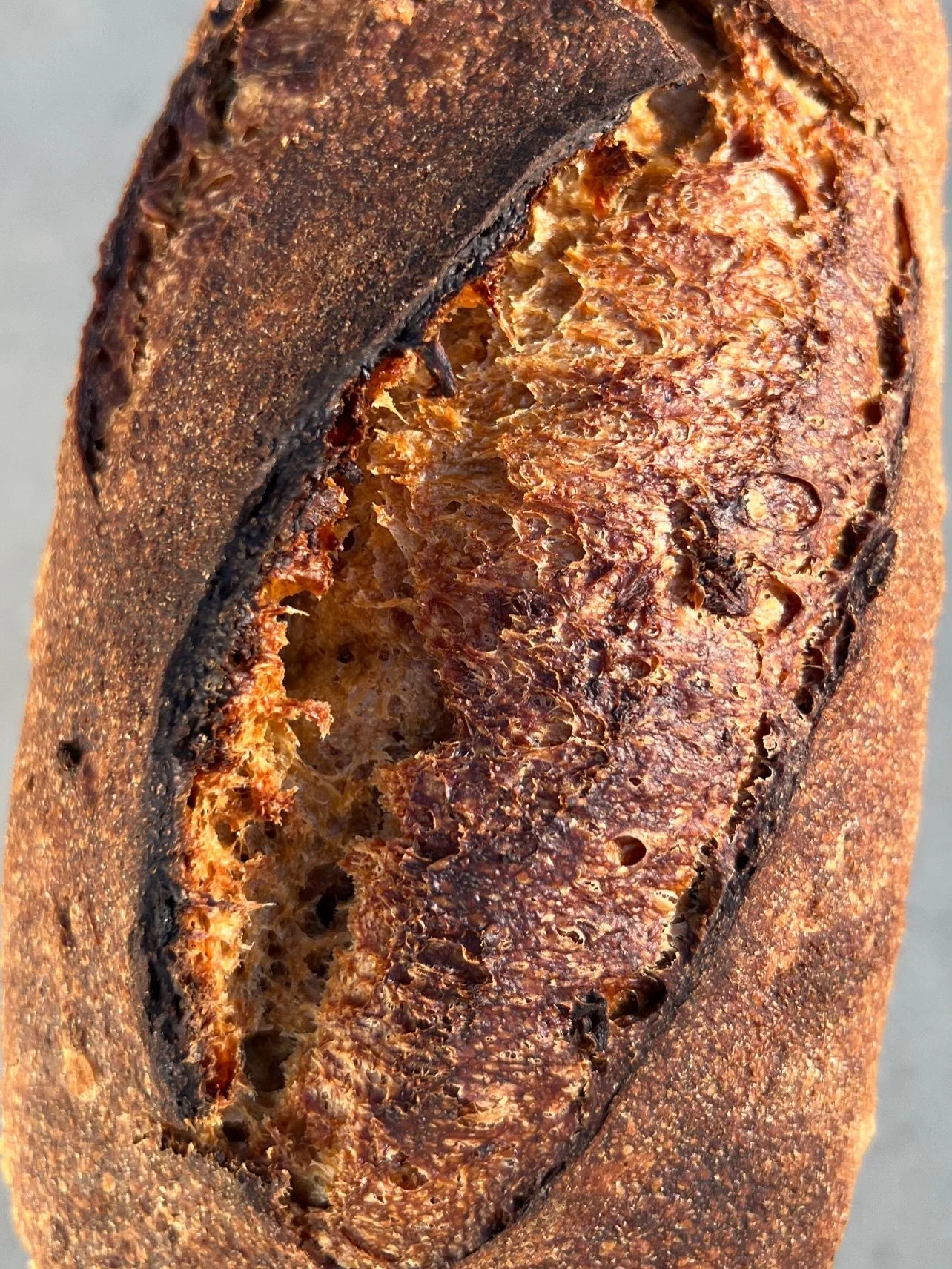 Oat porridge sourdough loaf
This whole grains sourdough loaf has whole wheat, dark rye flour, cooked rolled oats, orange zest and a bit of dark molasses. Get yours this Saturday 4/25 order a porch pickup 
Or stop by Elk Grove farmers market for a sam