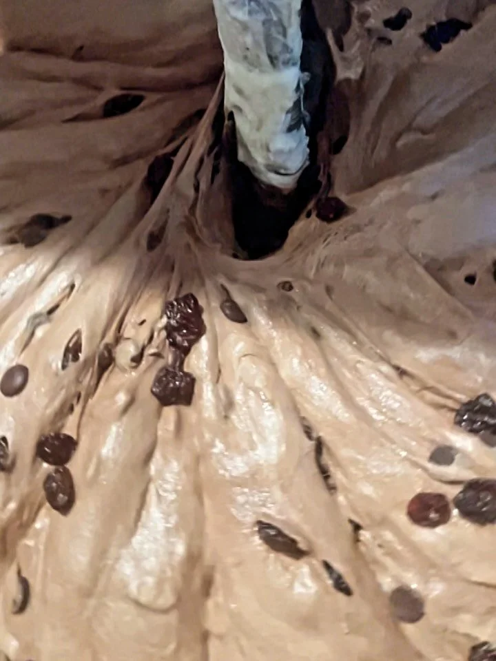Chocolate cherry sourdough available 5/9 Saturday. Accepting porch pickup orders 
Also available:
Salted lemon rosemary sourdough 
Oat porridge molasses sourdough loaf 
Cinnamon raisin rye sourdough loaf 
Traditional sourdough 
French baguette 
Cinna