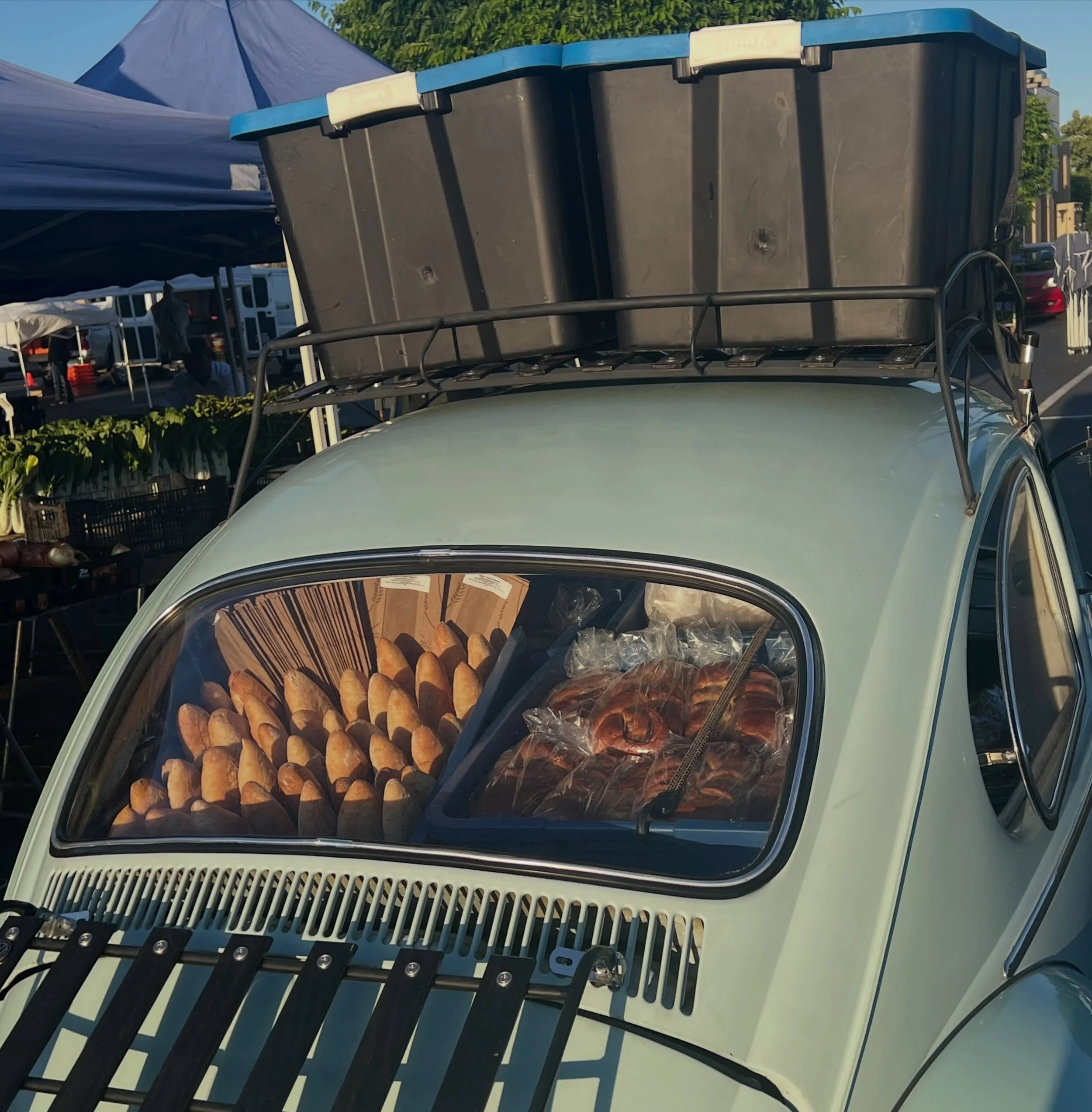 I&rsquo;ll set up at Elk Grove Market. Lots of options and samples. Here till noon 

#andybakesbread @elkgrovefarmersmarket @cairnspringmills #realbread #bread #cottagebakery