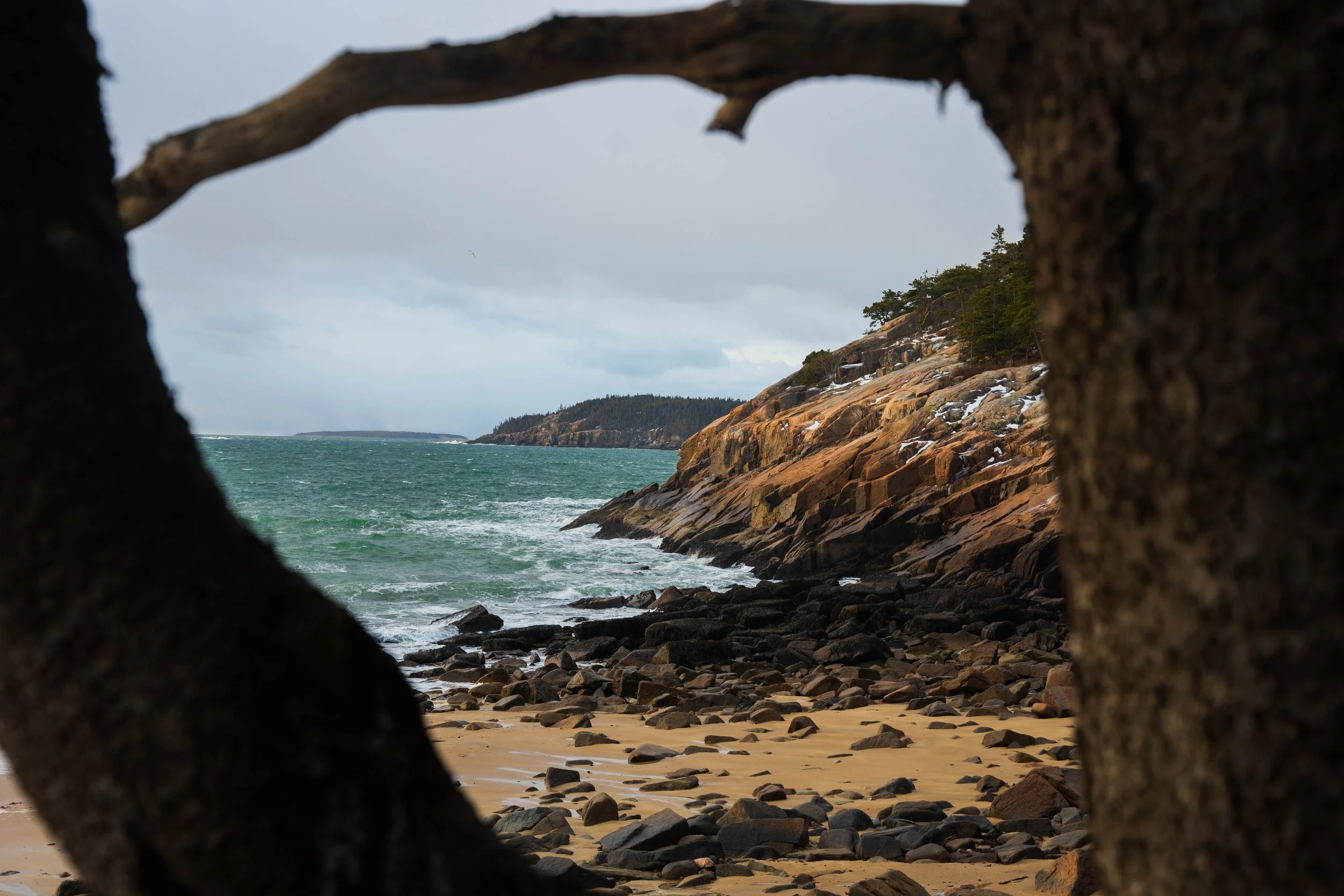 Acadia January 2023-16.jpg