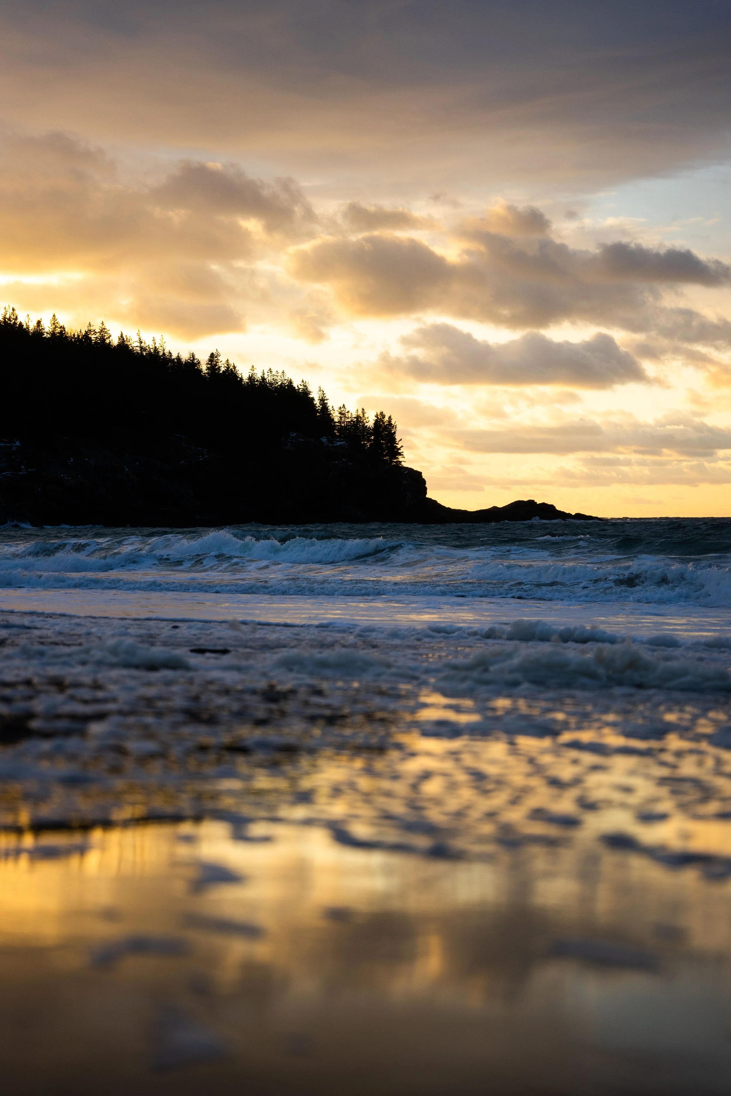 Acadia January 2023-5.jpg