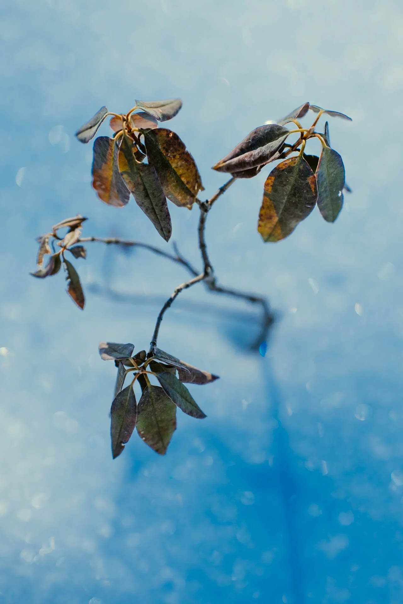  20220502-Biddeford Food Pantry 1 -.jpg