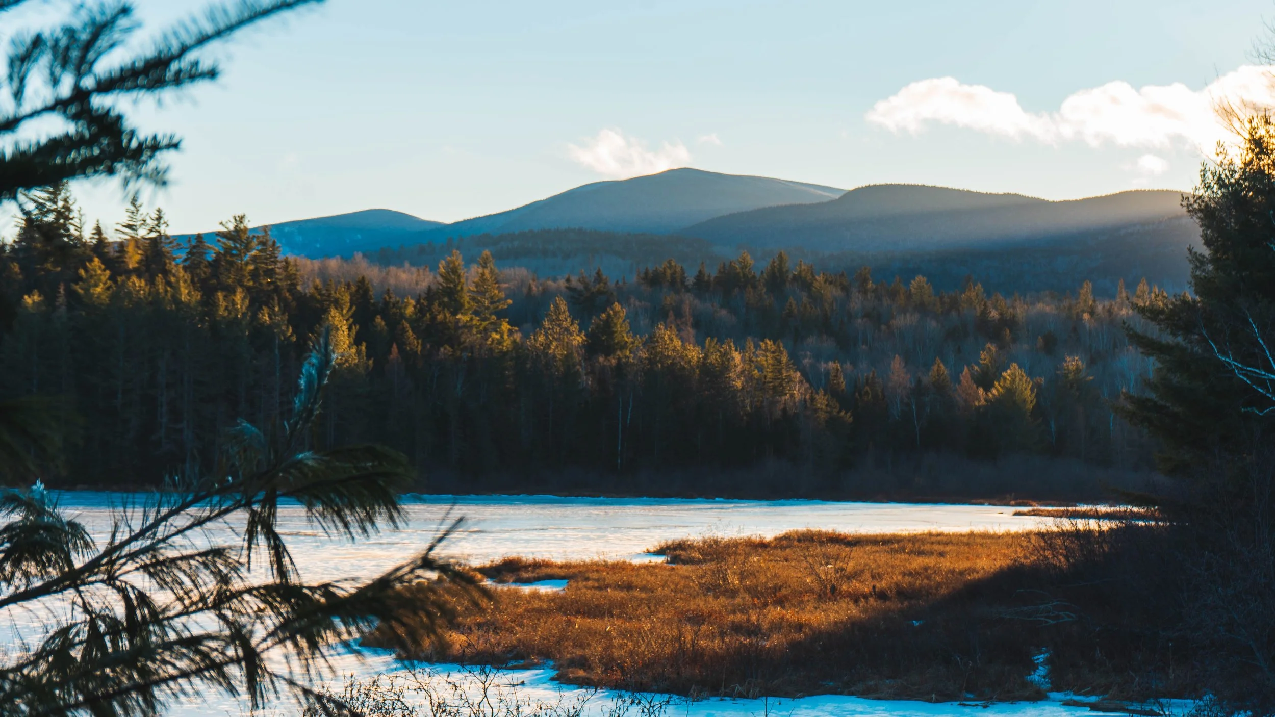 12-29-20 - BigelowPreserve-7.jpg