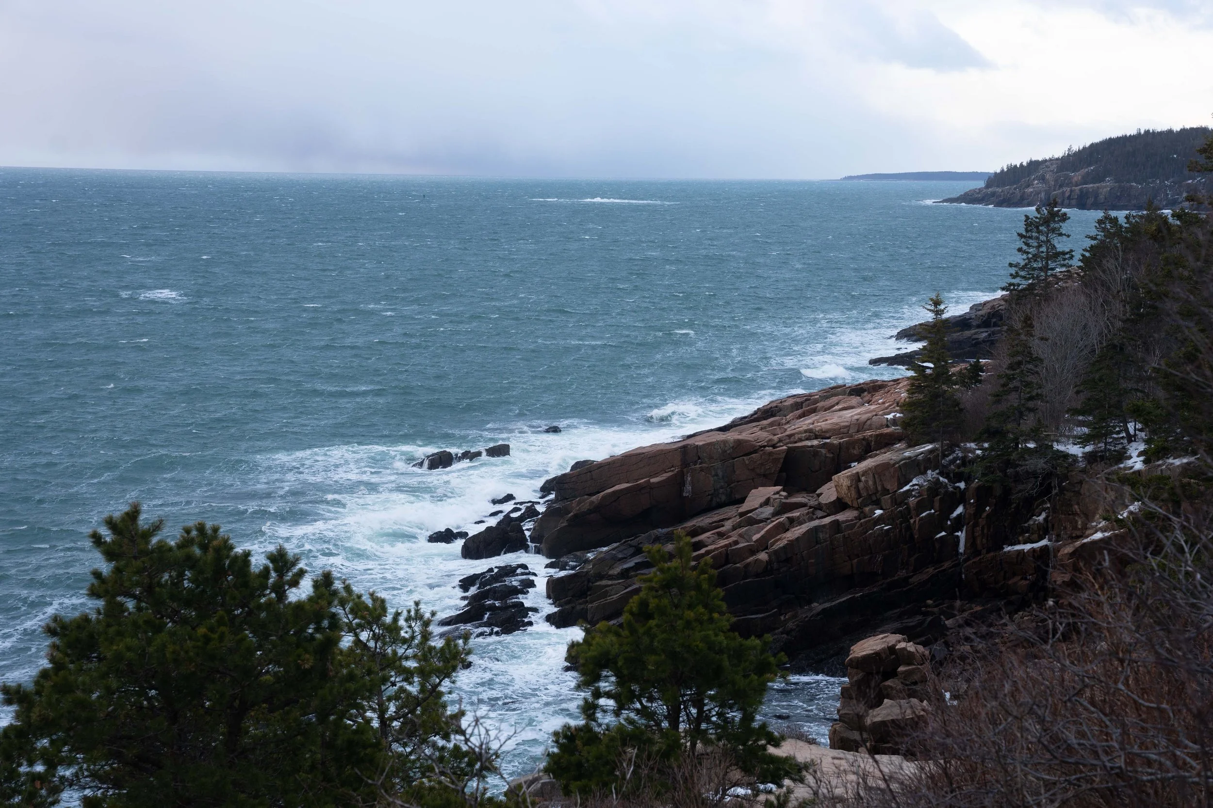 Acadia January 2023-18.jpg