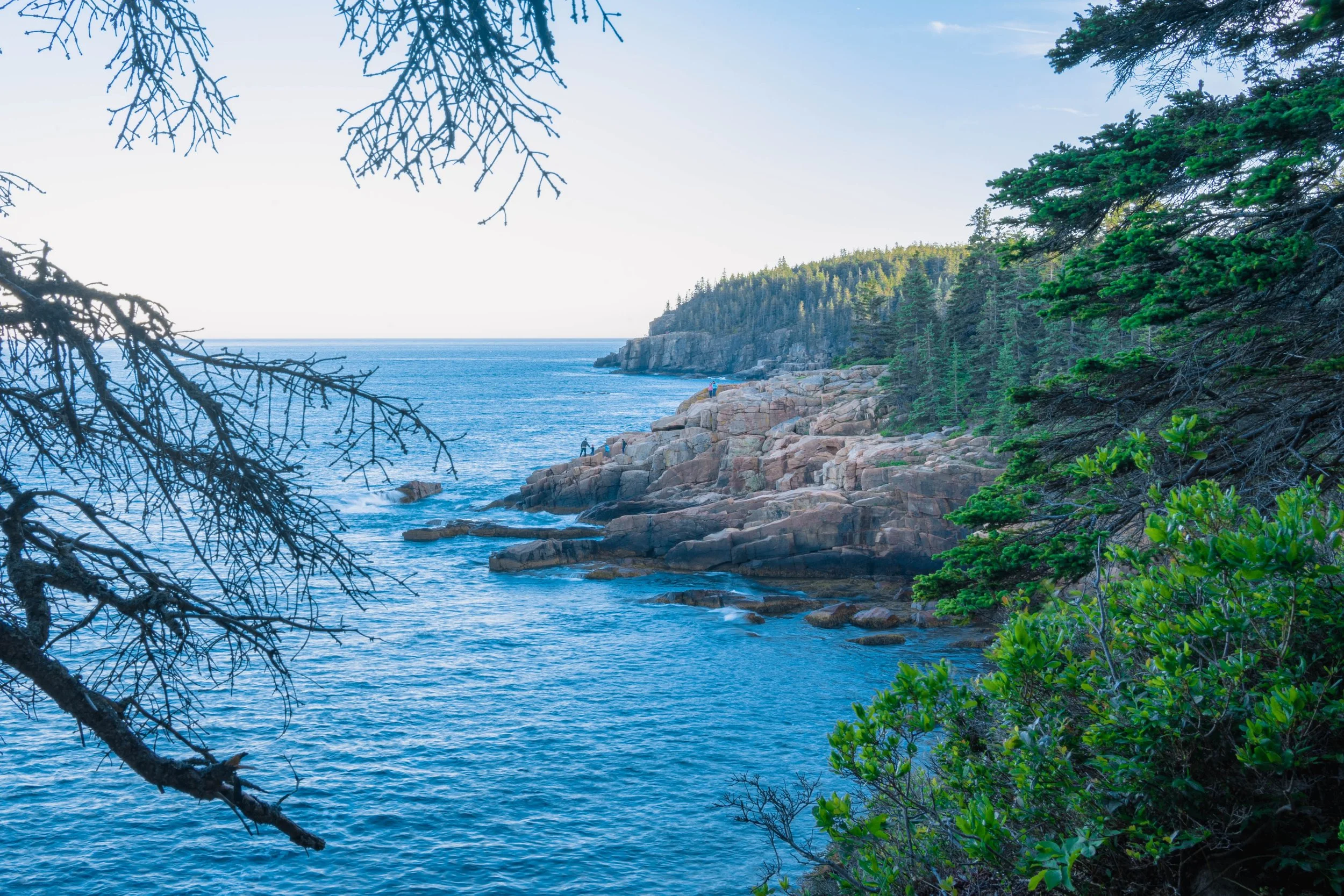 6-18-21 - Acadia-11.jpg