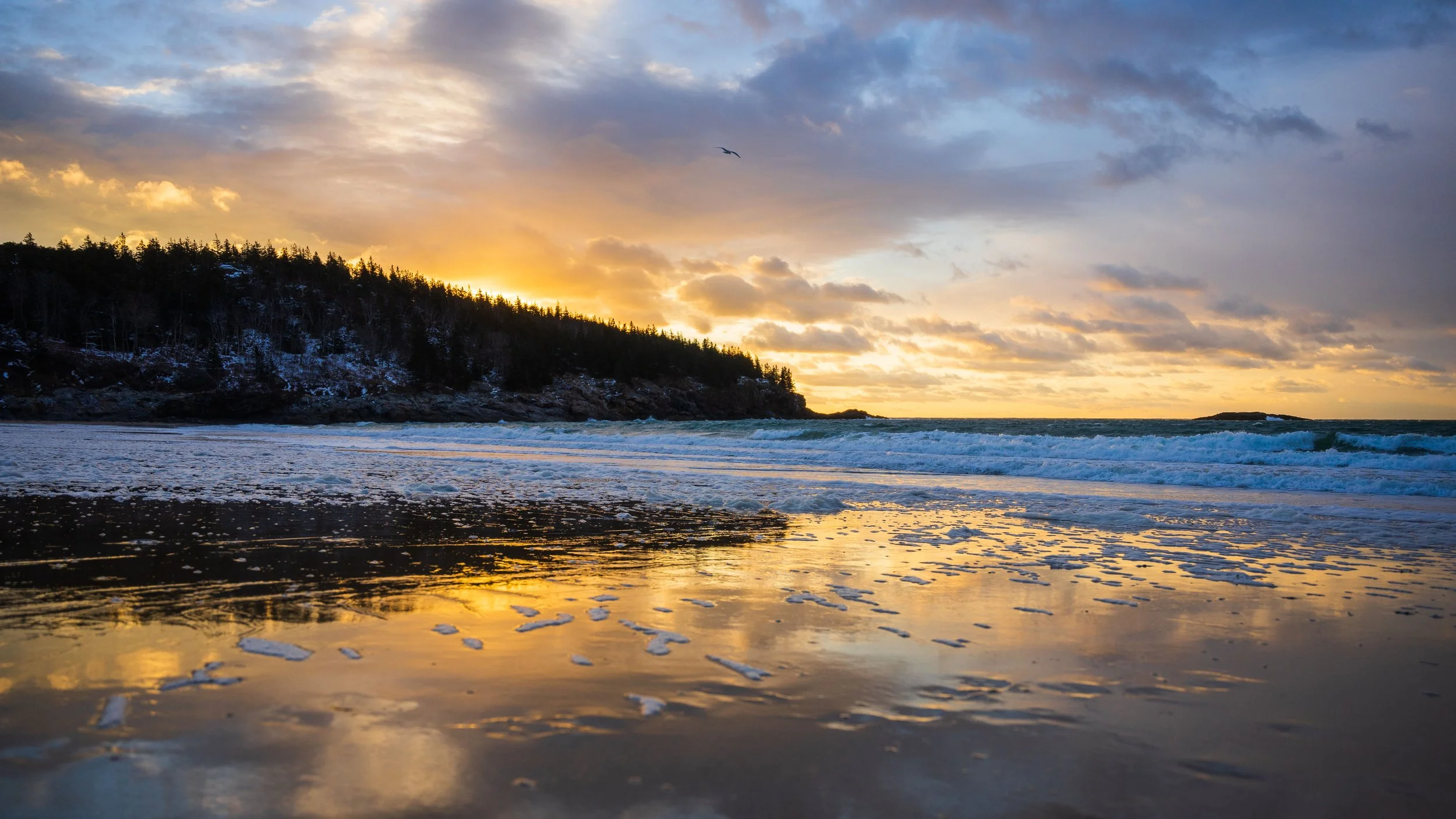 Acadia January 2023-8.jpg