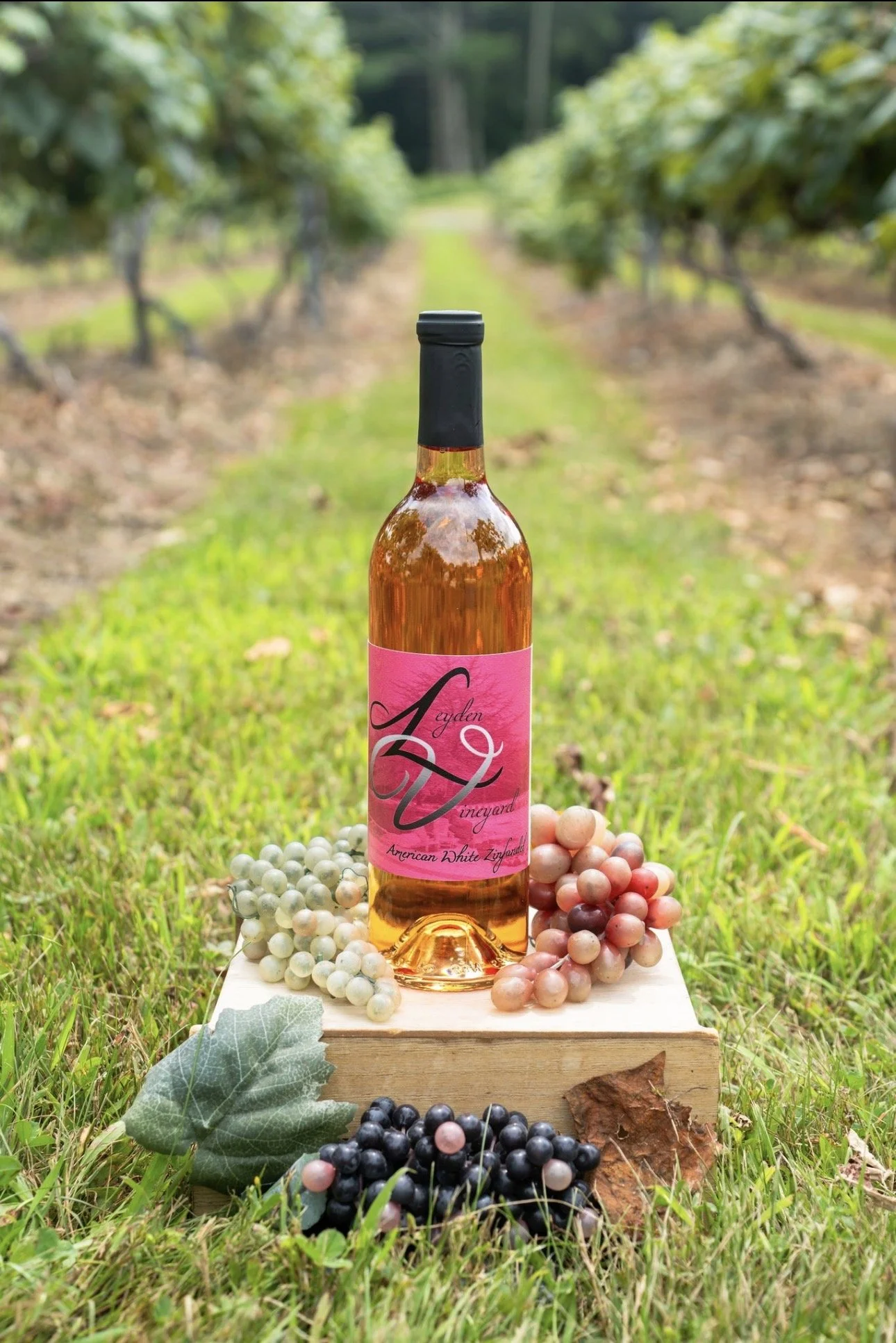 Summer White Zin.jpg