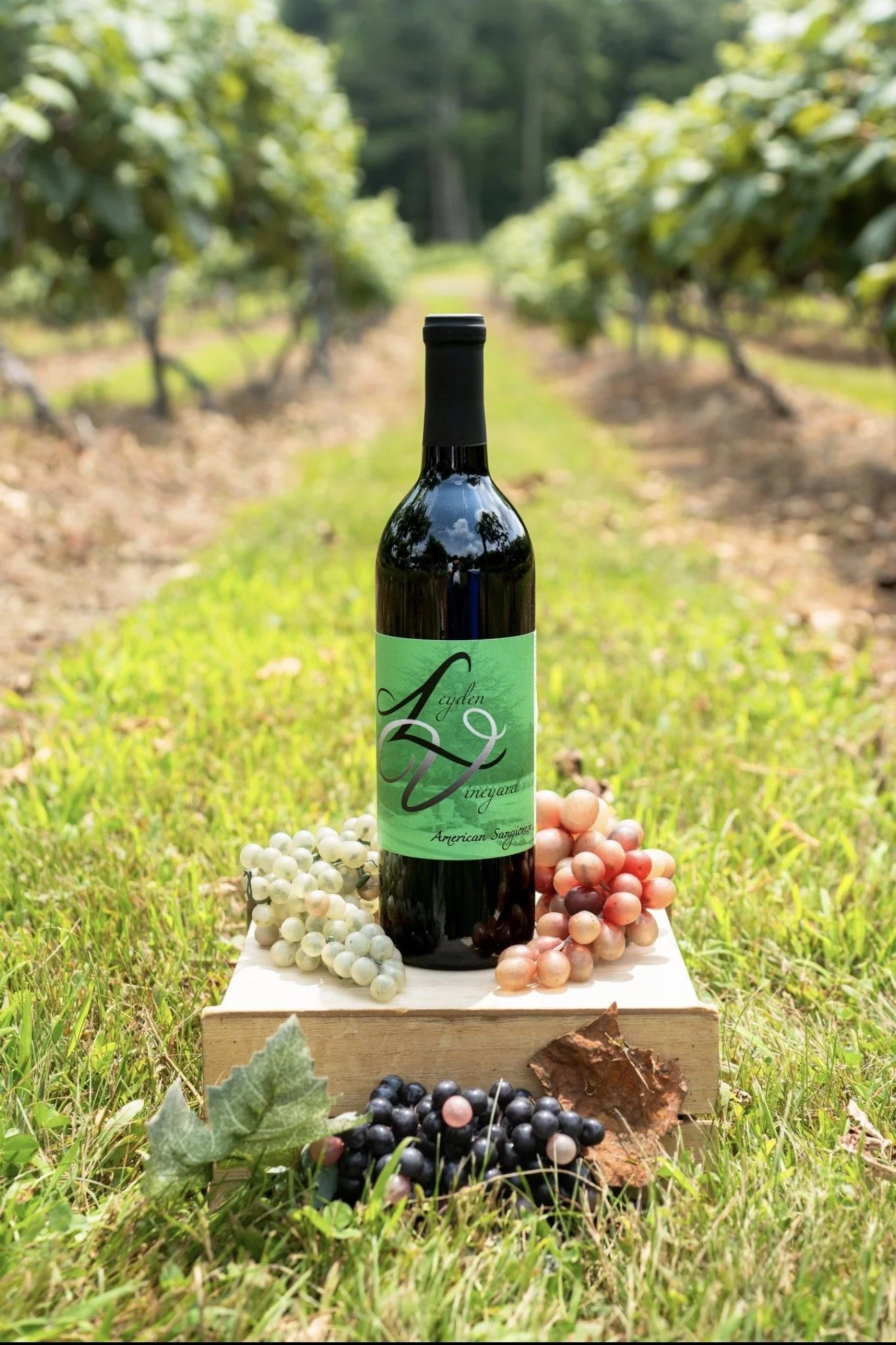 Sangiovese