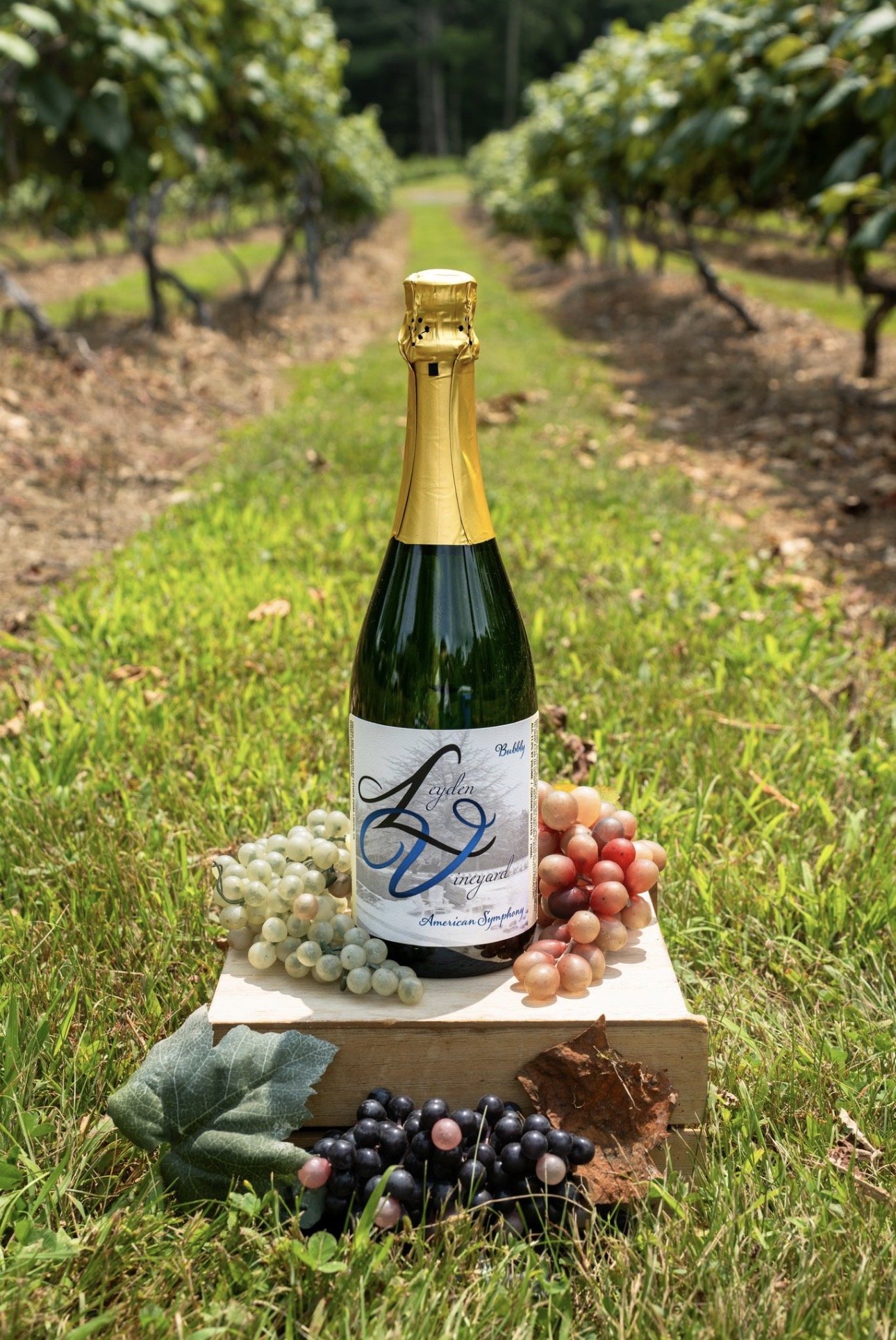 American Symphony Bubbly
