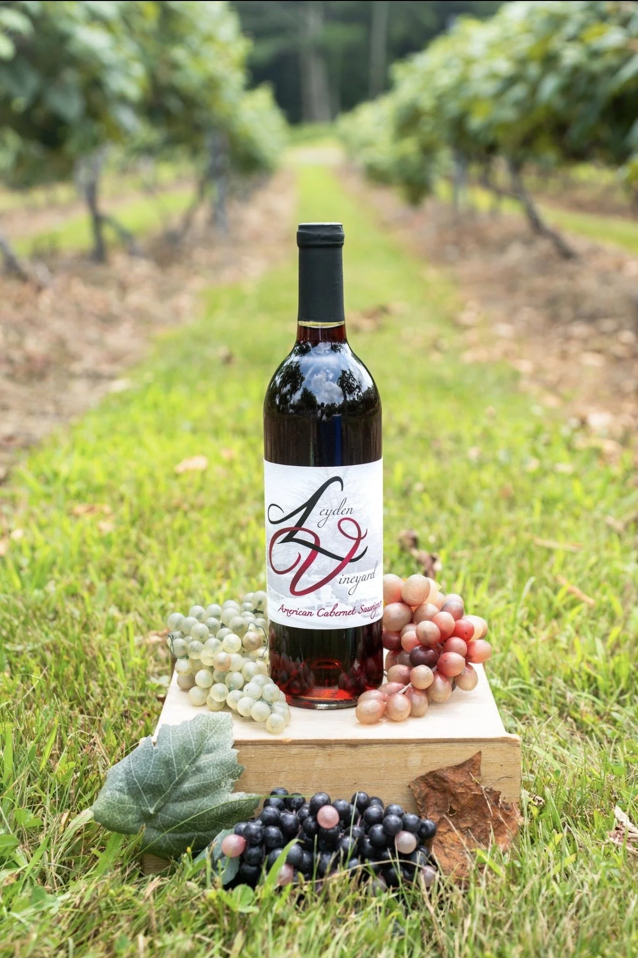 Cabernet Sauvignon