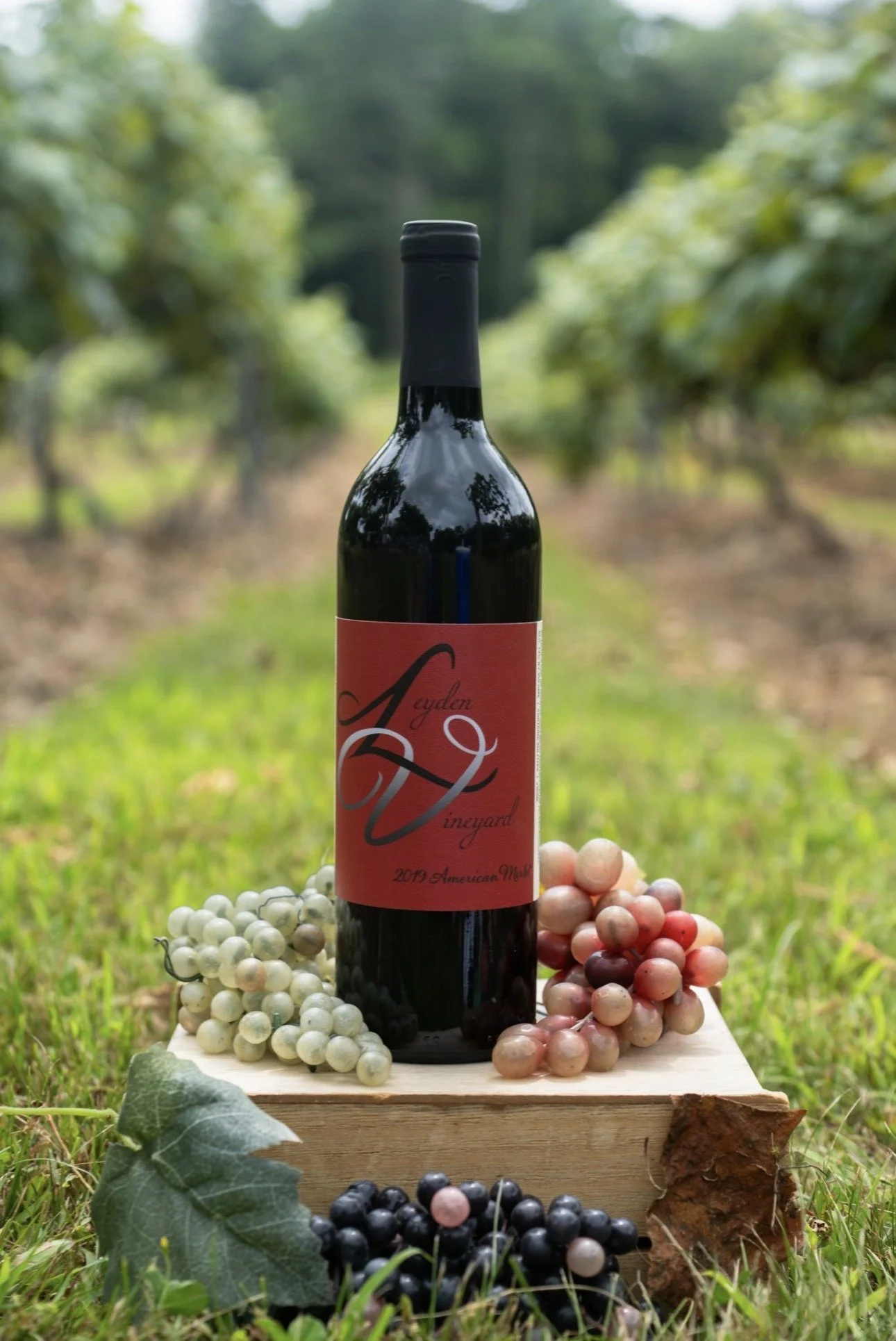 Merlot