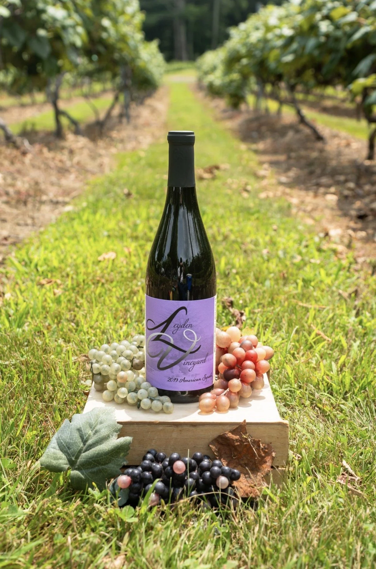 Summer Syrah .jpg
