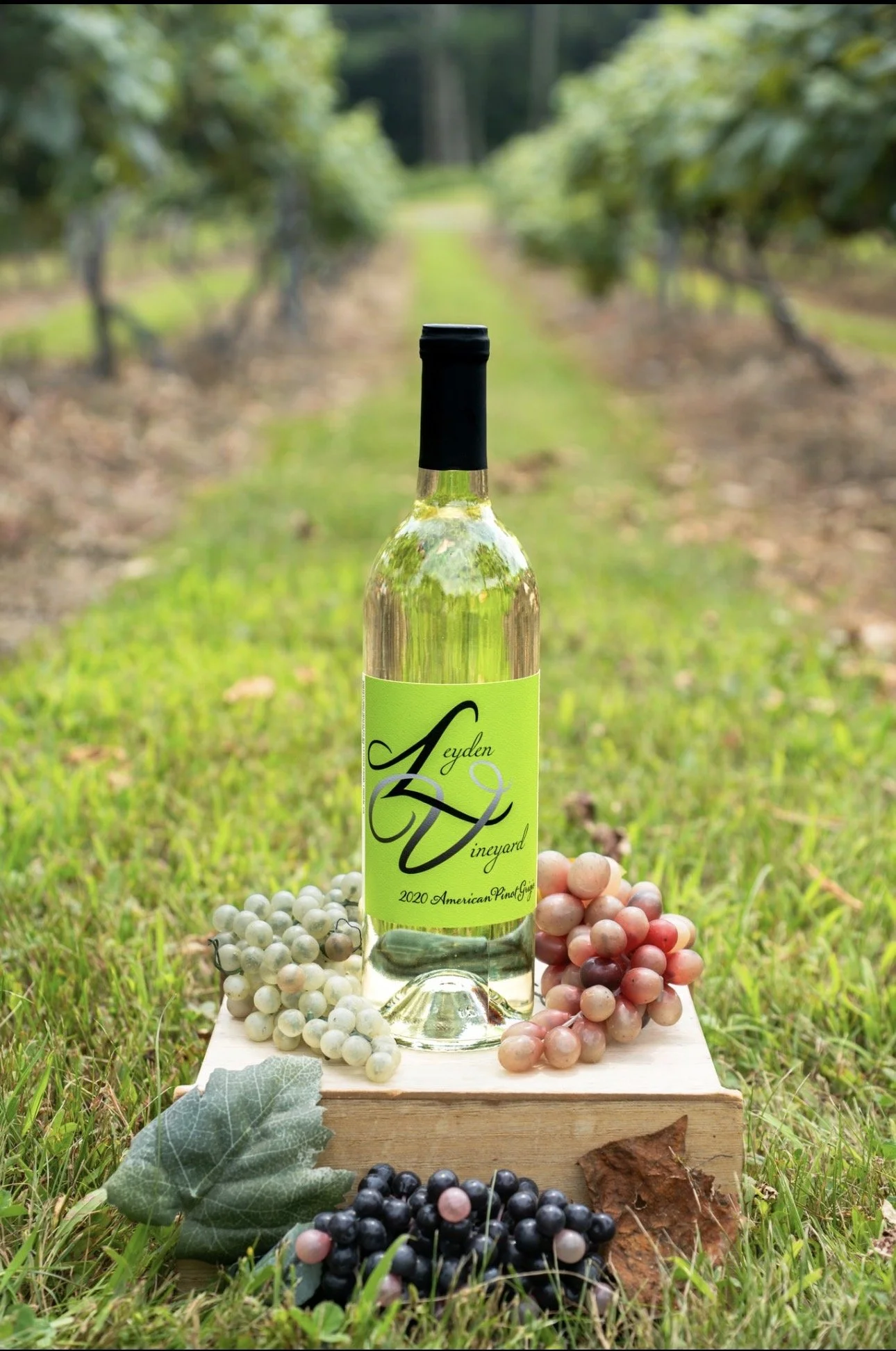 Summer Pinot G.jpg