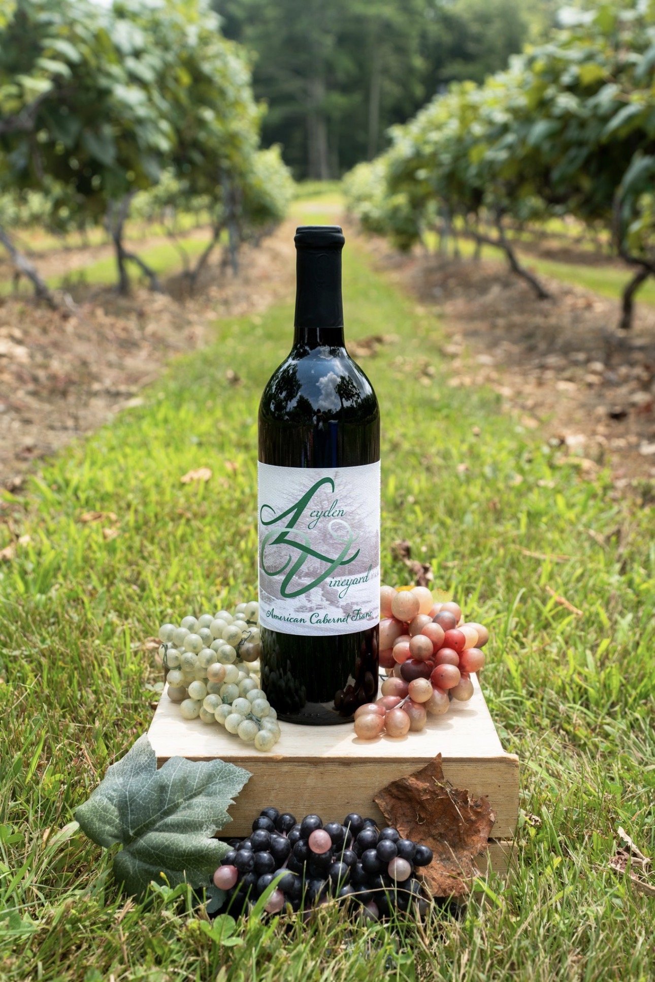 Cabernet Franc